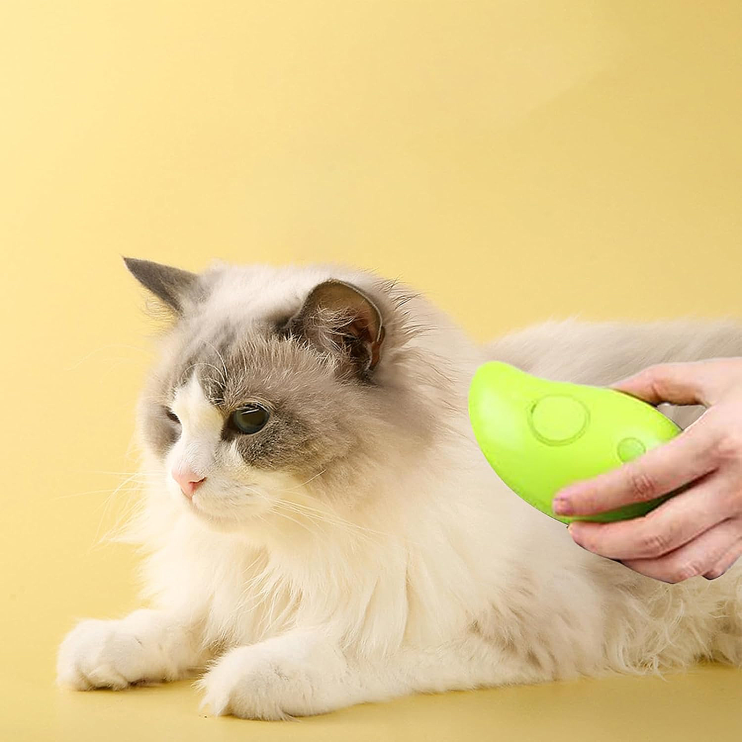 Un gato esponjoso es acicalado con un cepillo verde sobre un fondo amarillo. El gato tiene pelaje blanco y gris.