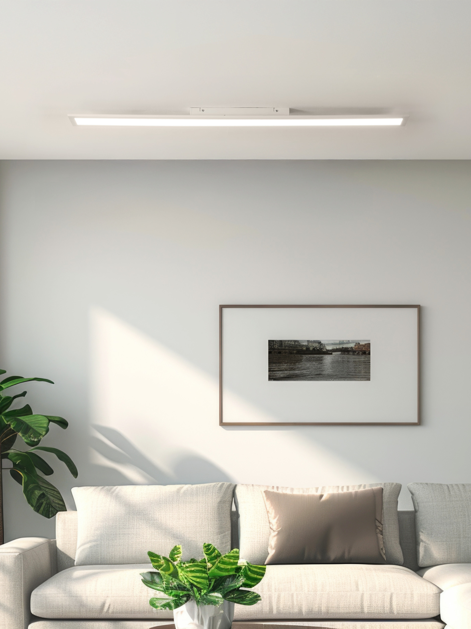 Un moderno soggiorno con divano, quadro e pianta. Un apparecchio di illuminazione è montato sul soffitto.