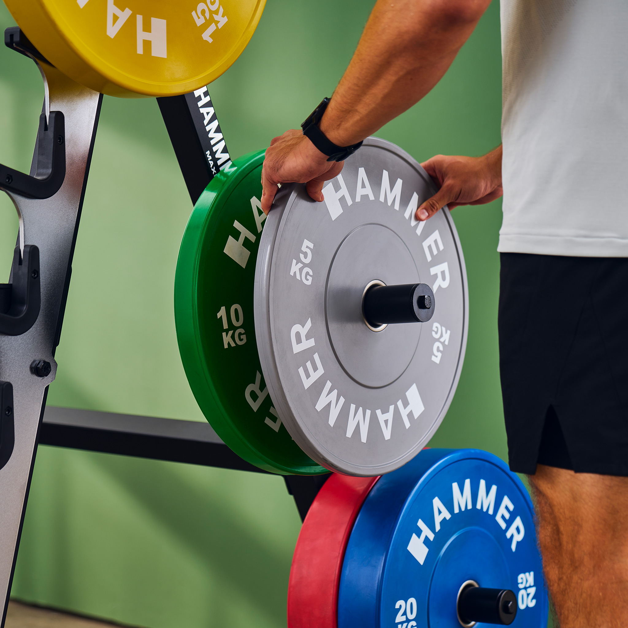 Eine Person hält eine graue Hantelscheibe. Andere Scheiben sind gelb, grün, rot und blau. Fitnessgeräte auf grünem Hintergrund.