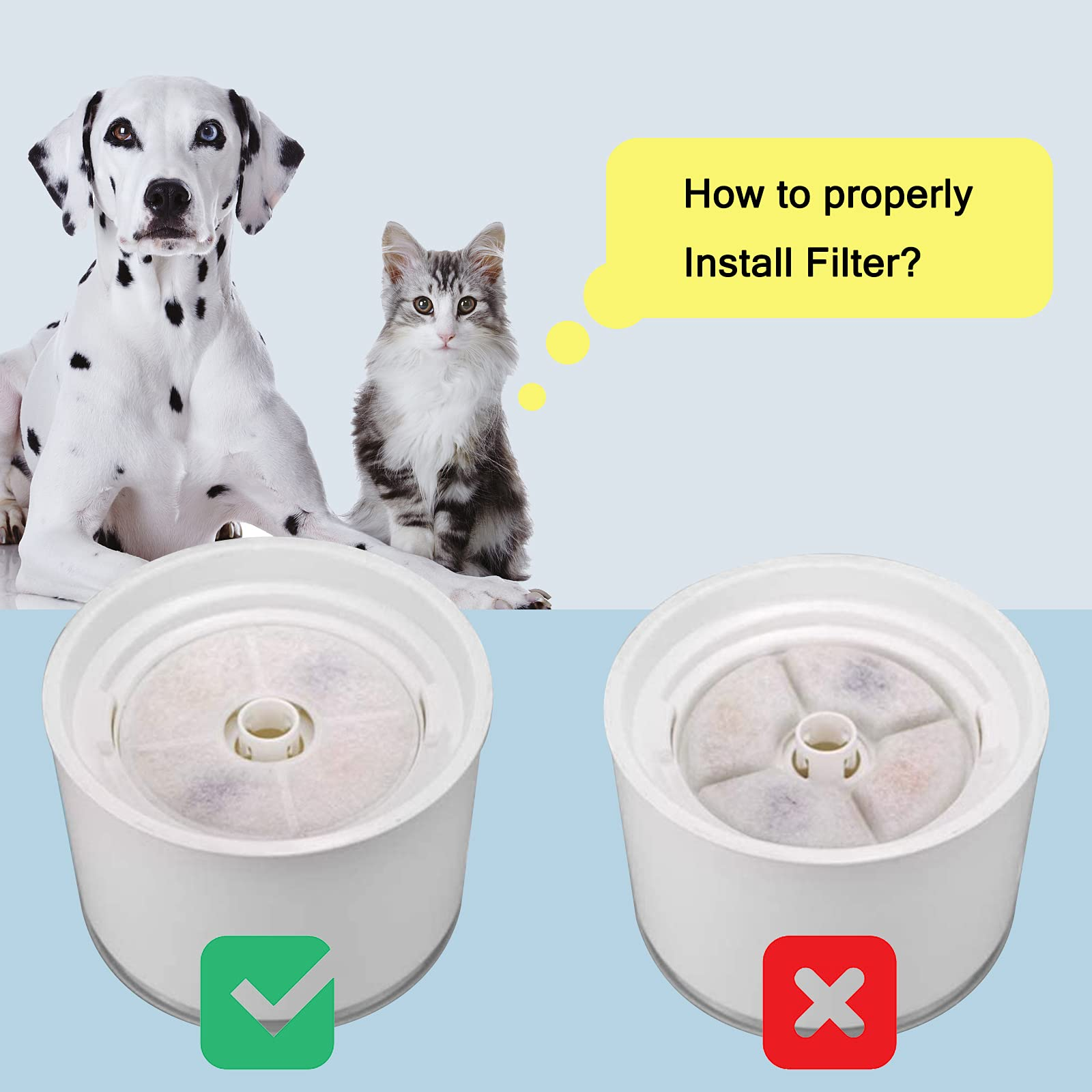 Ein Dalmatiner und eine Katze sitzen über zwei Wasserfiltern. Ein Filter ist korrekt installiert, der andere nicht.