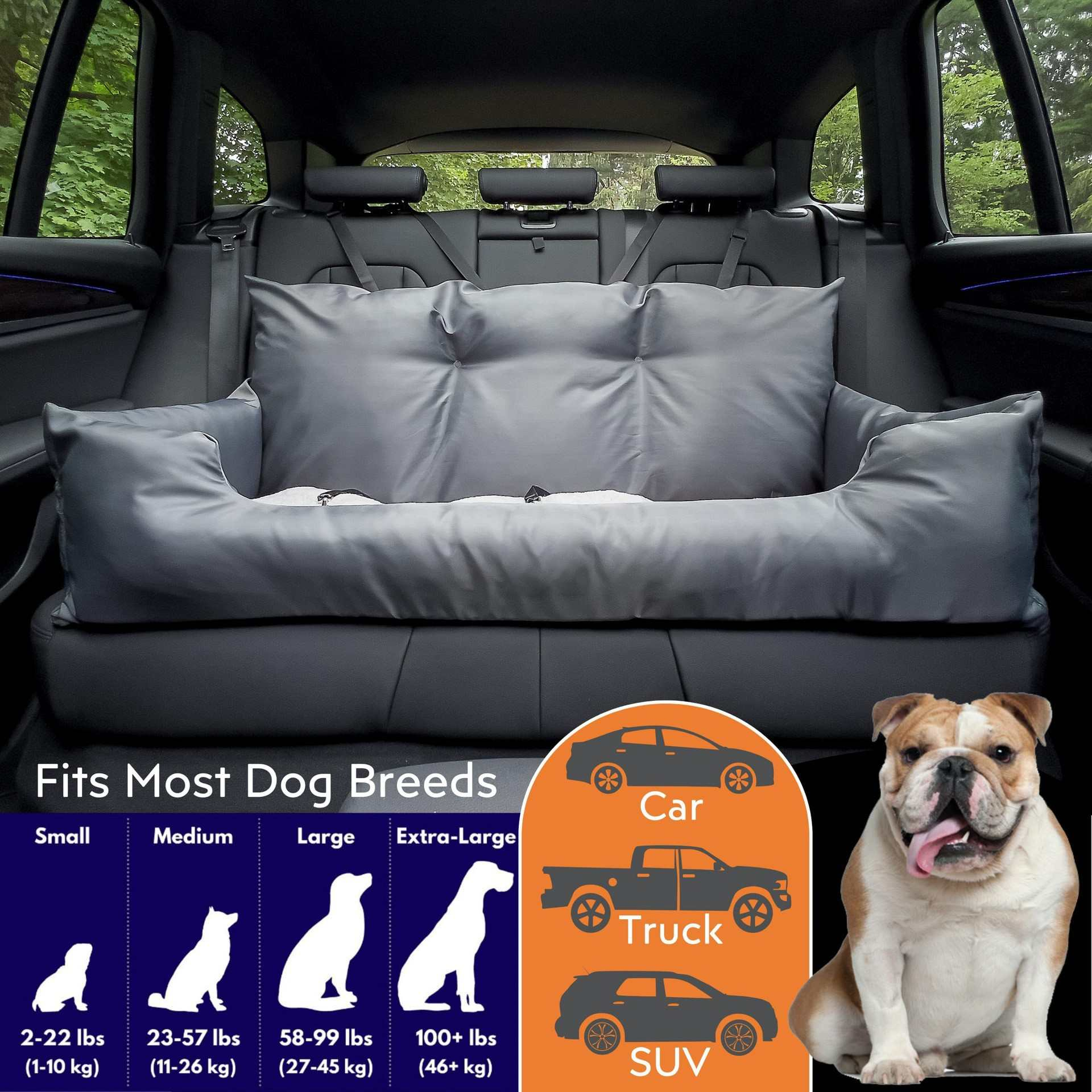 Rücksitzschutz für Hunde in einem Auto. Außerdem abgebildet ein Bulldogge und eine Größentabelle für verschiedene Hunderassen.