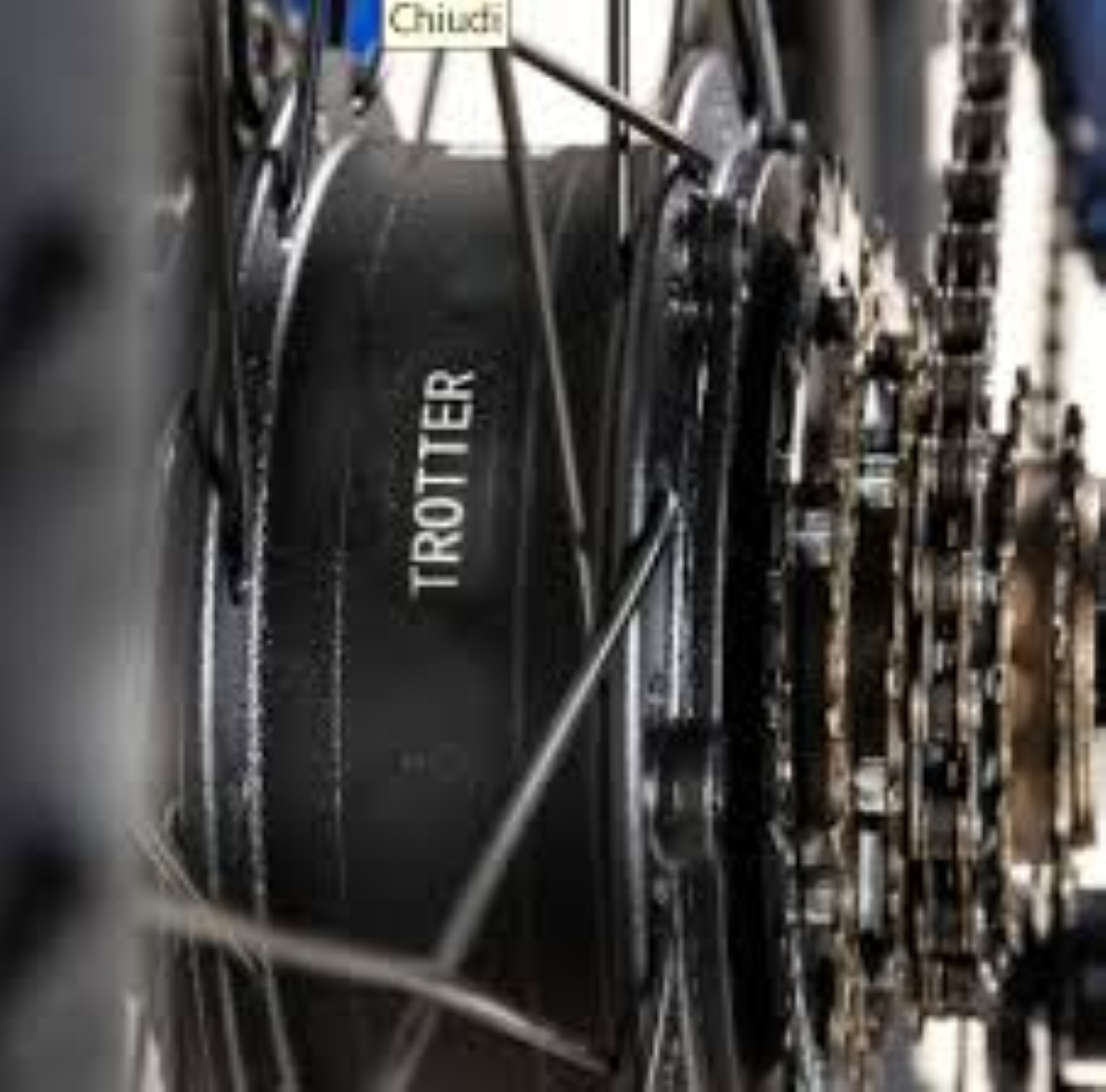 Primo piano di una ruota di bicicletta con la scritta "TROTTER" sul pneumatico. Catena e ingranaggi visibili a destra.