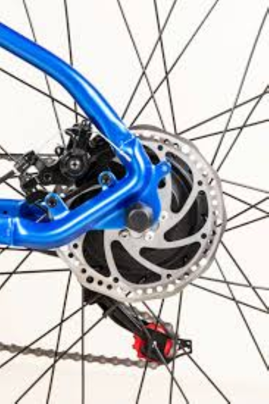 Primo piano di una ruota di bicicletta con telaio blu, freno a disco argentato, raggi neri e un componente rosso e nero.