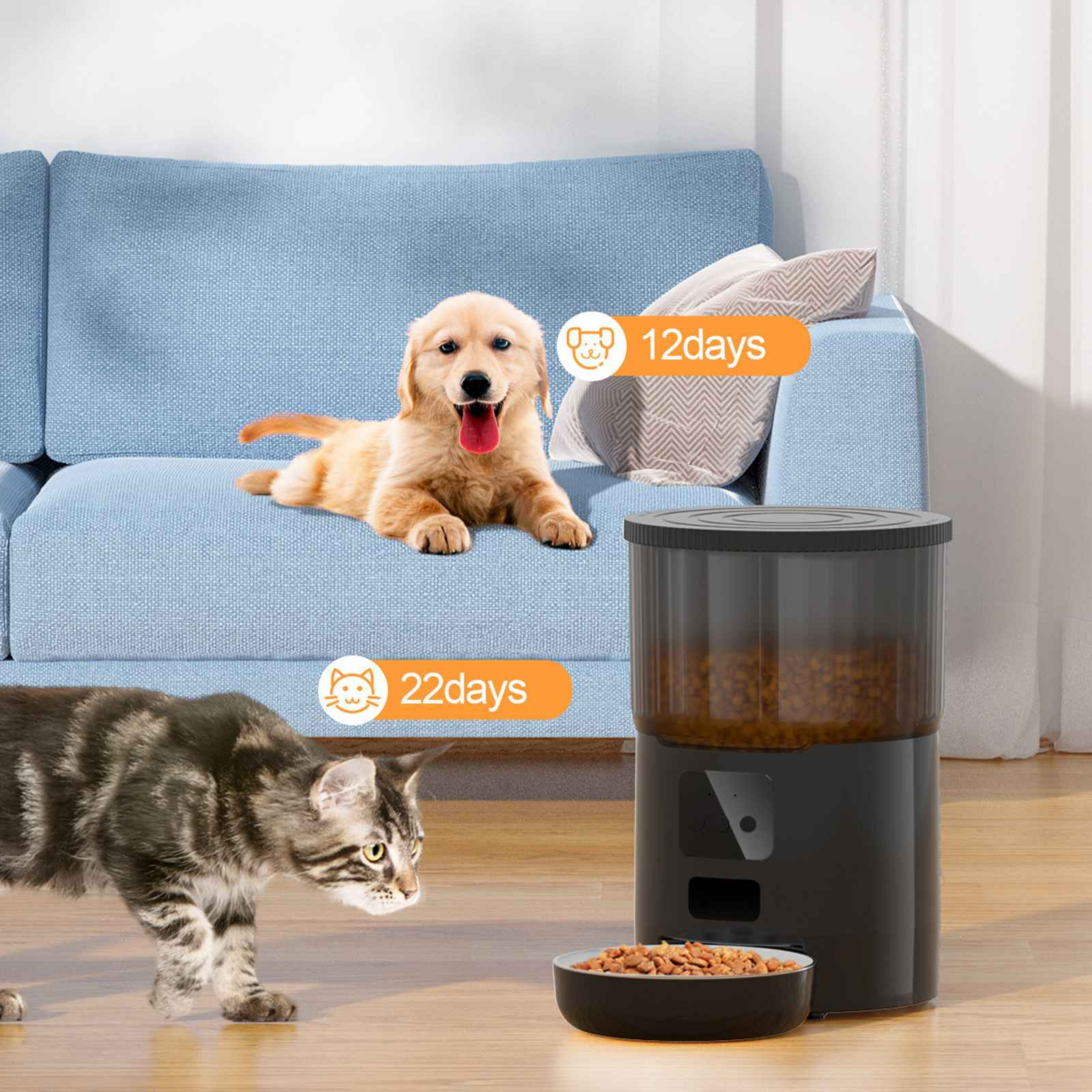 Ein goldener Retriever-Welpe liegt auf einem blauen Sofa, eine Katze geht an einem Futterautomaten vorbei. Etiketten zeigen Fütterungsintervalle an.