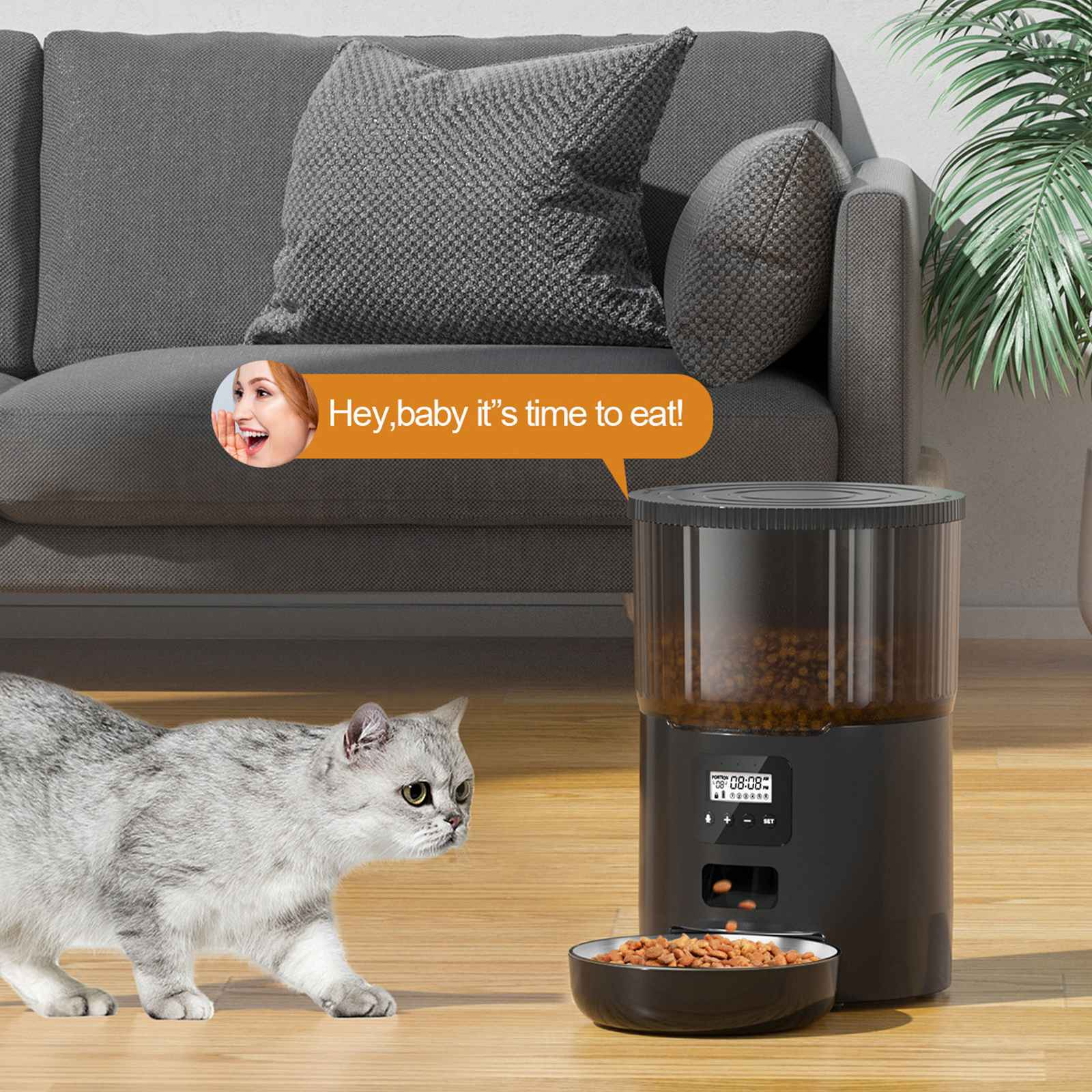 Eine graue Katze blickt auf einen automatischen Futterautomaten, der Futter ausgibt. Ein Frauengesicht in einer Sprechblase sagt: "Hey, Baby, es ist Zeit zu essen!"