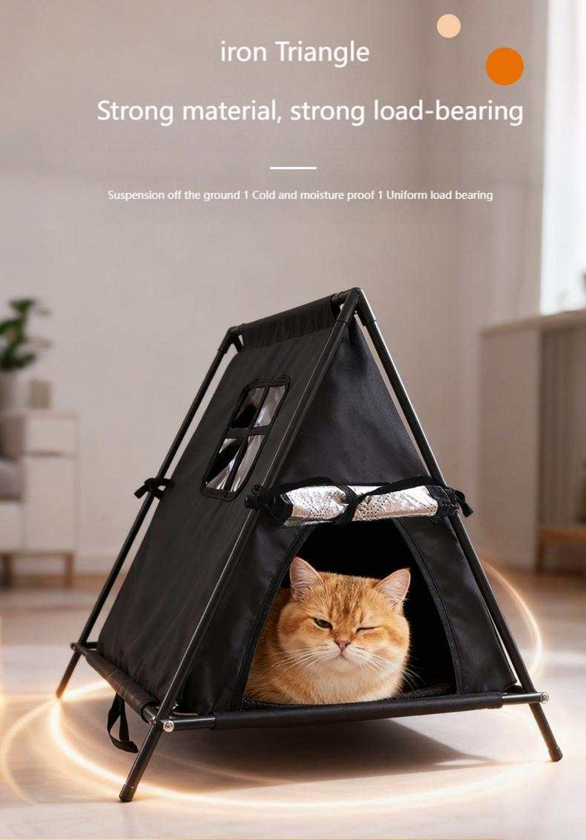 Eine Katze in einem schwarzen Zelt. Das Zelt ist mit "Eisen-Dreieck" beschriftet. Die Katze ist orange und schaut in die Kamera.