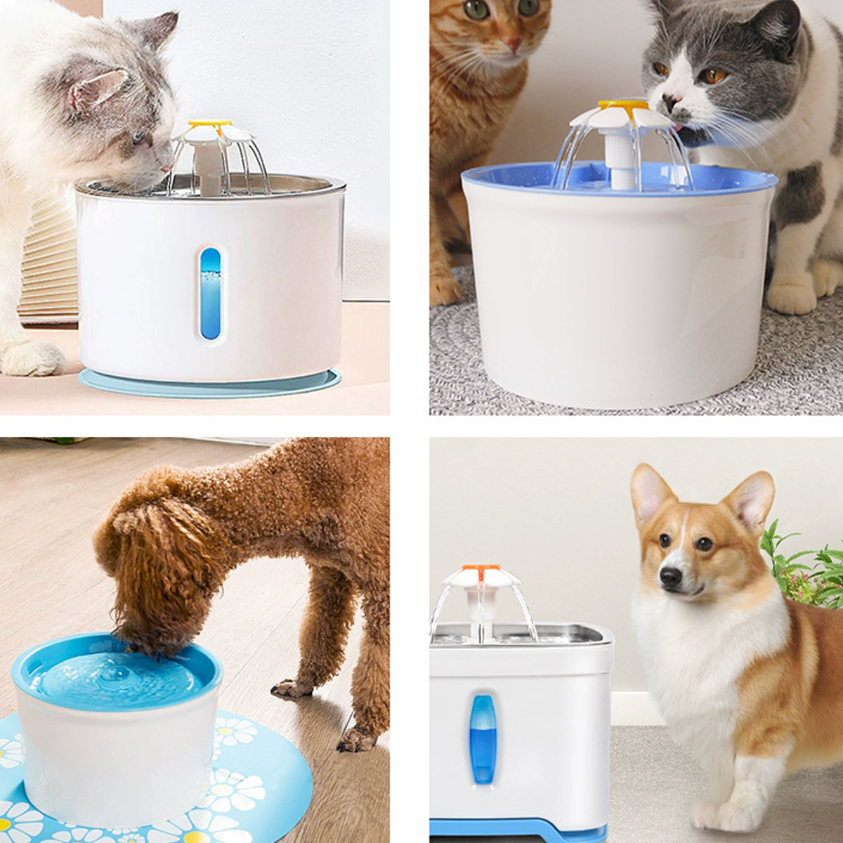 Vier Bilder zeigen Haustiere, die Wasserfontänen benutzen. Katzen und ein Hund trinken aus den Brunnen. Die Brunnen sind weiß und blau.