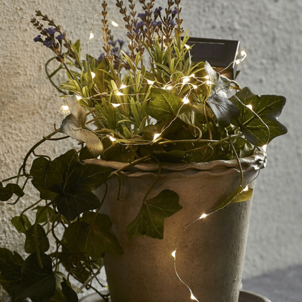 Eine Topfpflanze mit grünen Blättern und lila Blüten wird von Lichterketten beleuchtet. Ein kleines Solarpanel ist auf dem Topf zu sehen.