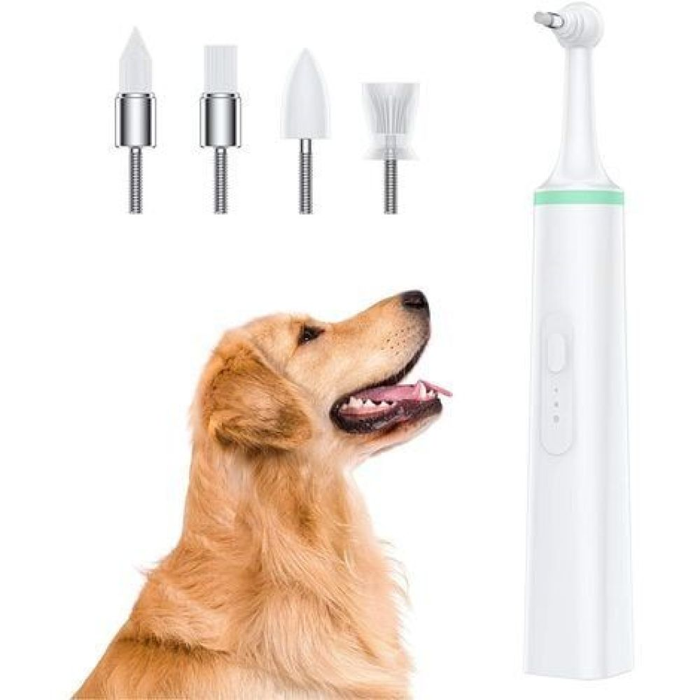 Ein Golden Retriever blickt nach oben mit offenem Mund. Daneben befinden sich Werkzeuge und ein weißes Zahnreinigungswerkzeug.