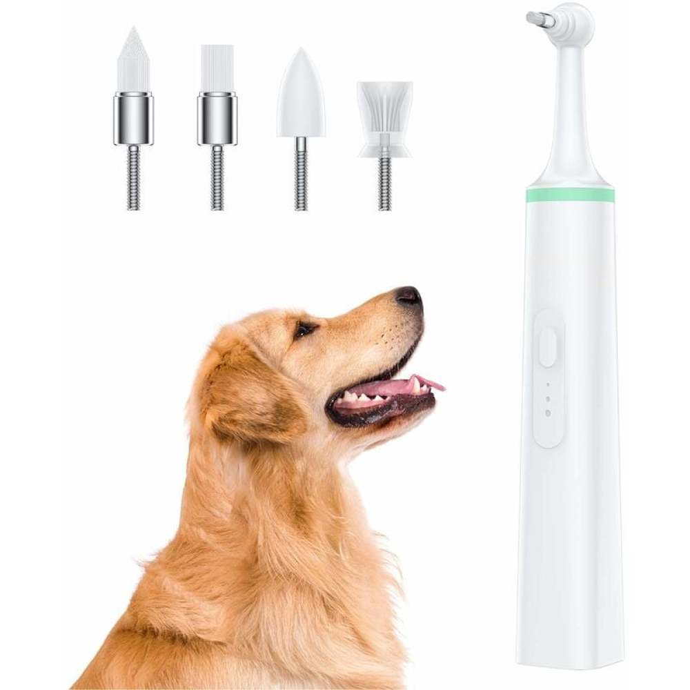 Ein Golden Retriever blickt mit offenem Mund nach oben. Zahnwerkzeuge und eine weiße Zahnbürste befinden sich neben dem Hund.