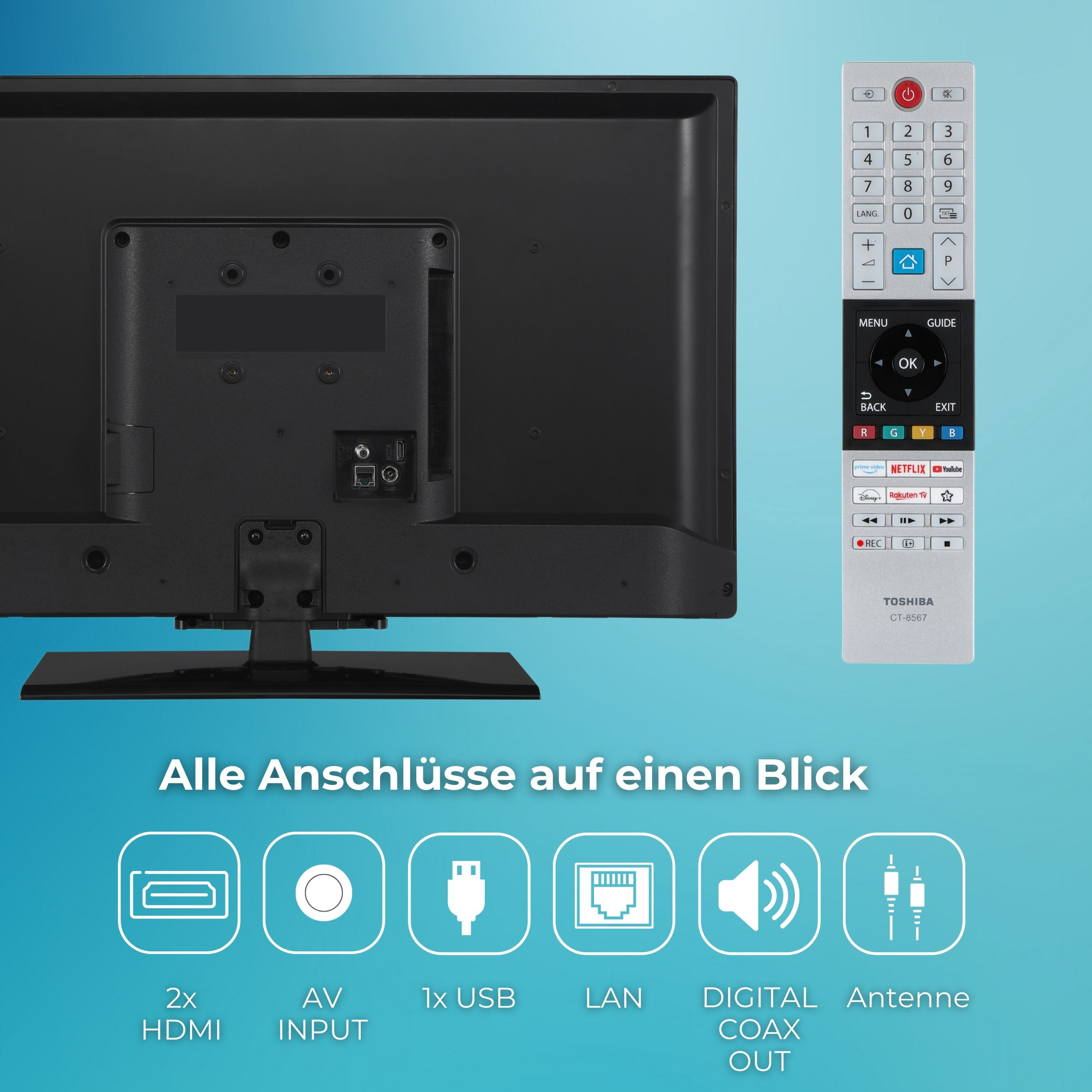 Rückseite eines Fernsehers und Fernbedienung. Die Rückseite hat Anschlüsse. Die Fernbedienung hat Tasten.