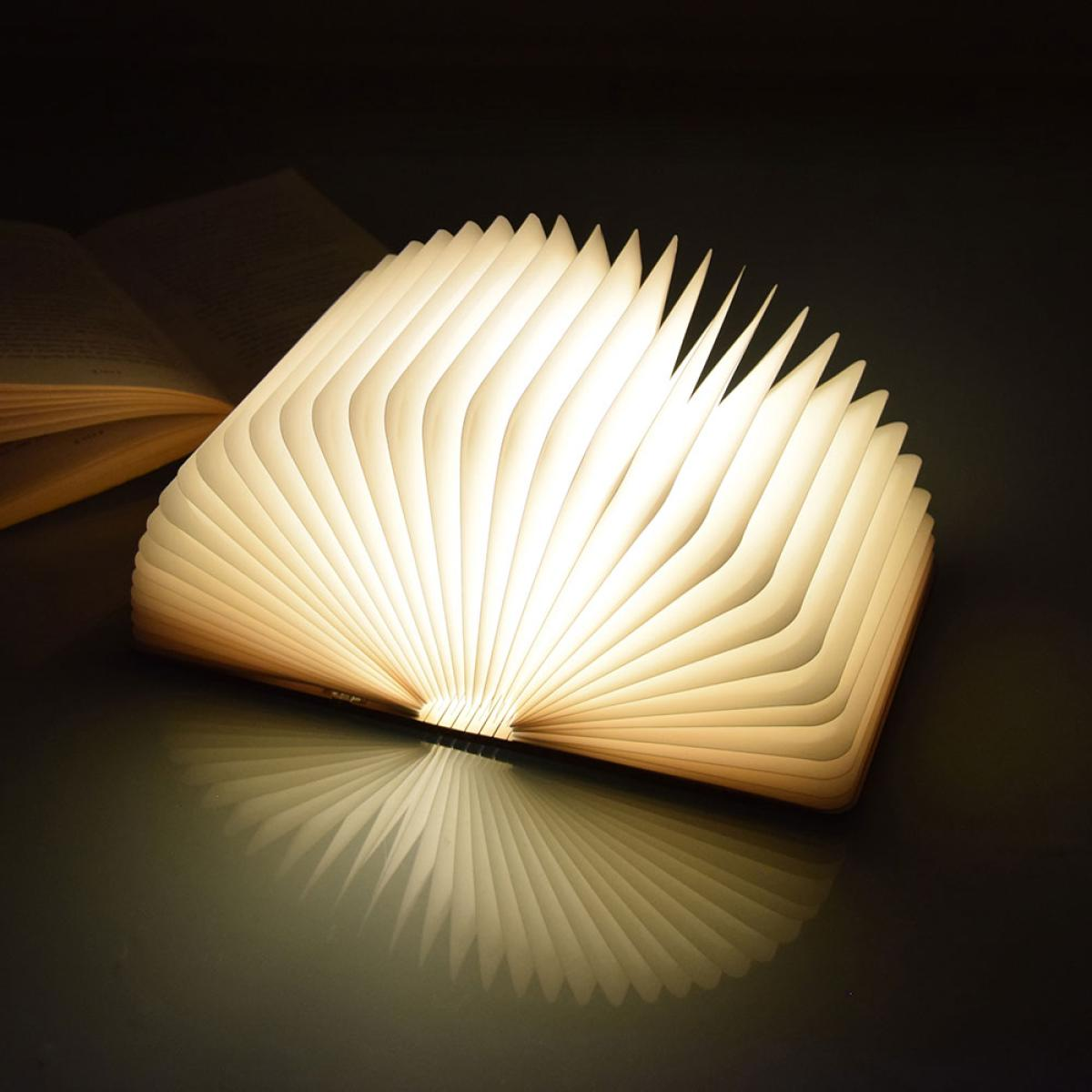 Een gloeiende boekvormige lamp, open, met pagina's die licht uitstralen. Een ander boek is op de achtergrond open. Reflectie op een donker oppervlak.
