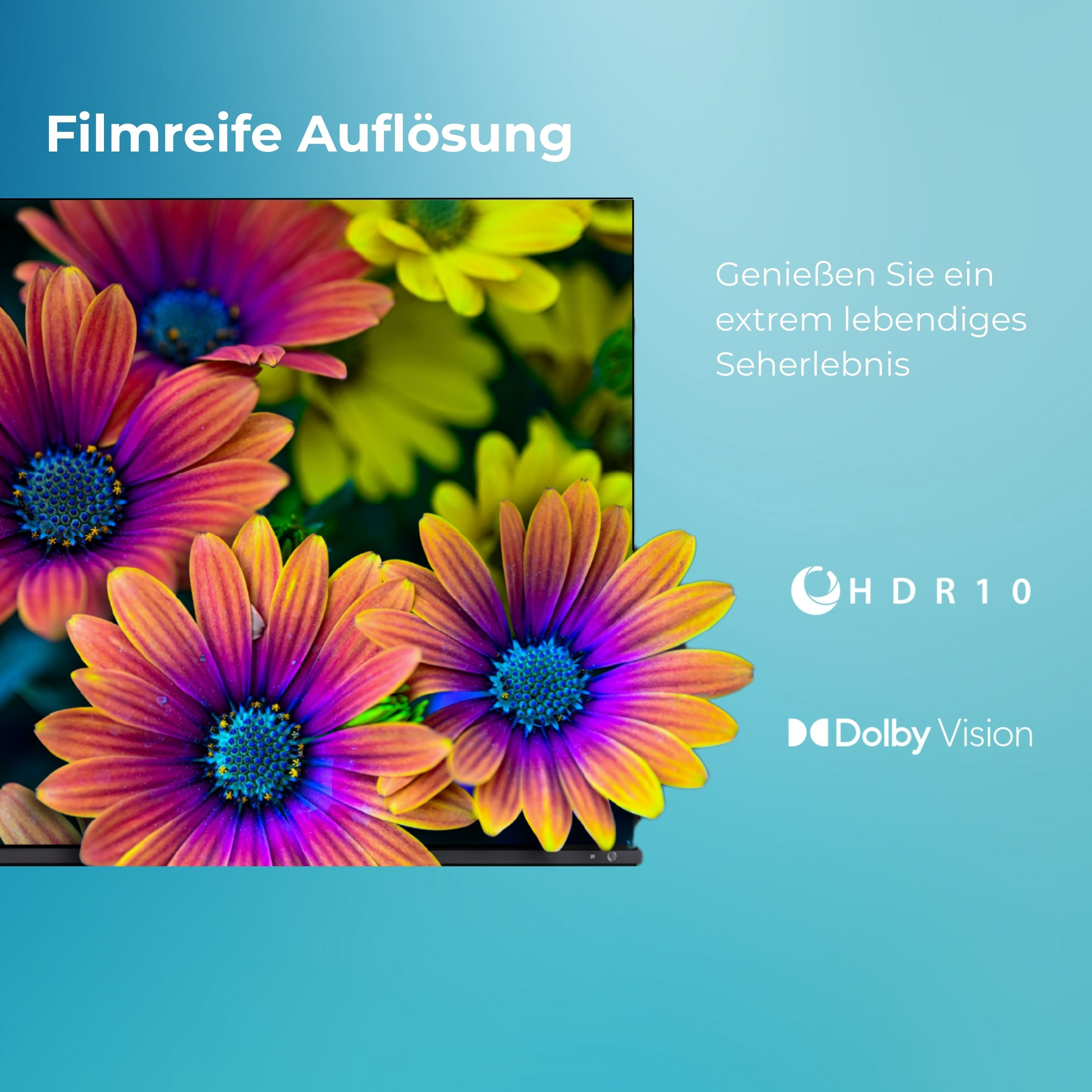 Kwiaty z fioletowymi, pomarańczowymi i żółtymi płatkami. Niebieski środek. Tekst: Filmreife Auflösung, HDR10 i Dolby Vision.