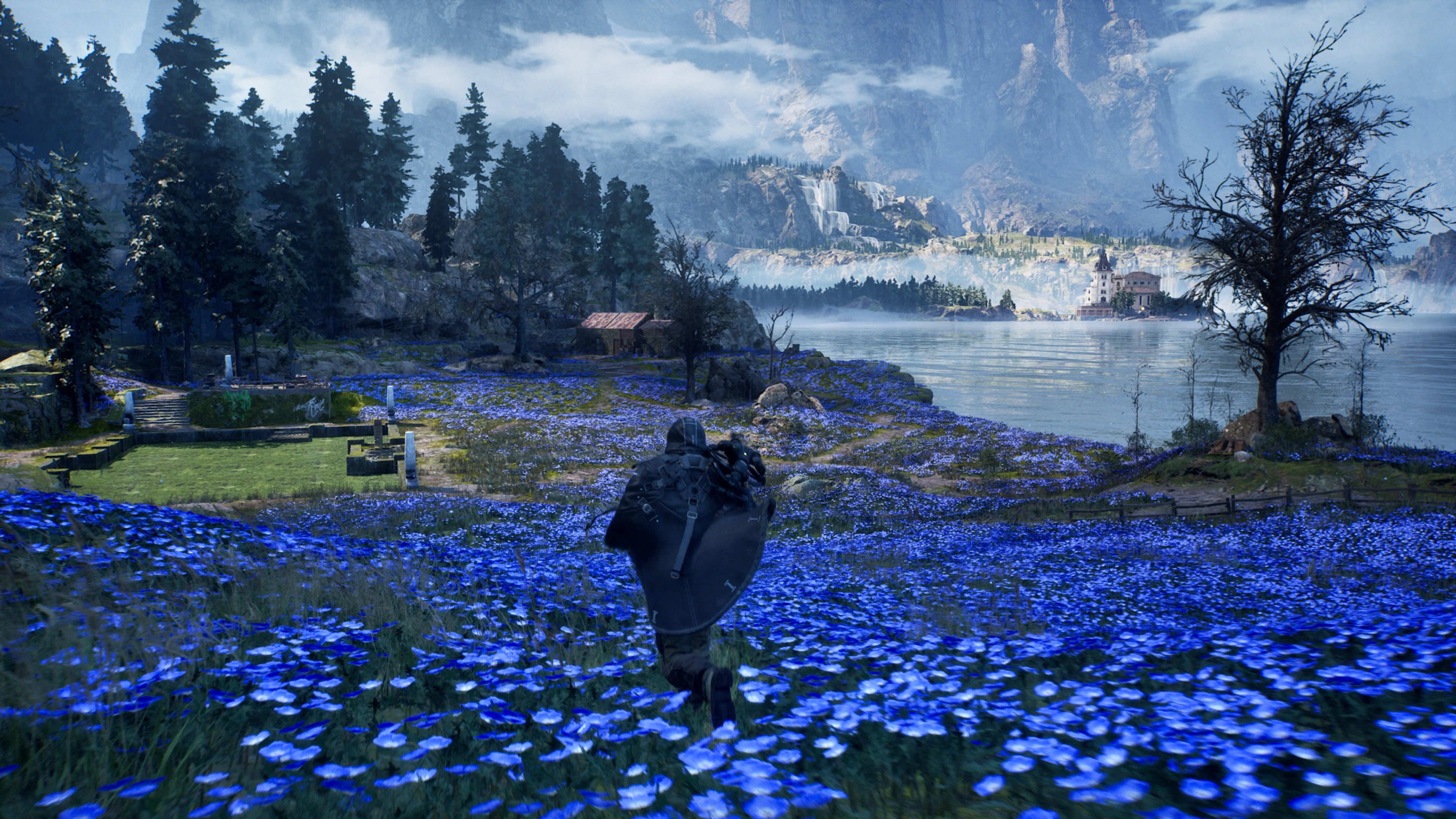 Postać z tarczą idzie przez pole niebieskich kwiatów w kierunku jeziora i gór. Zamek widoczny na brzegu jeziora.