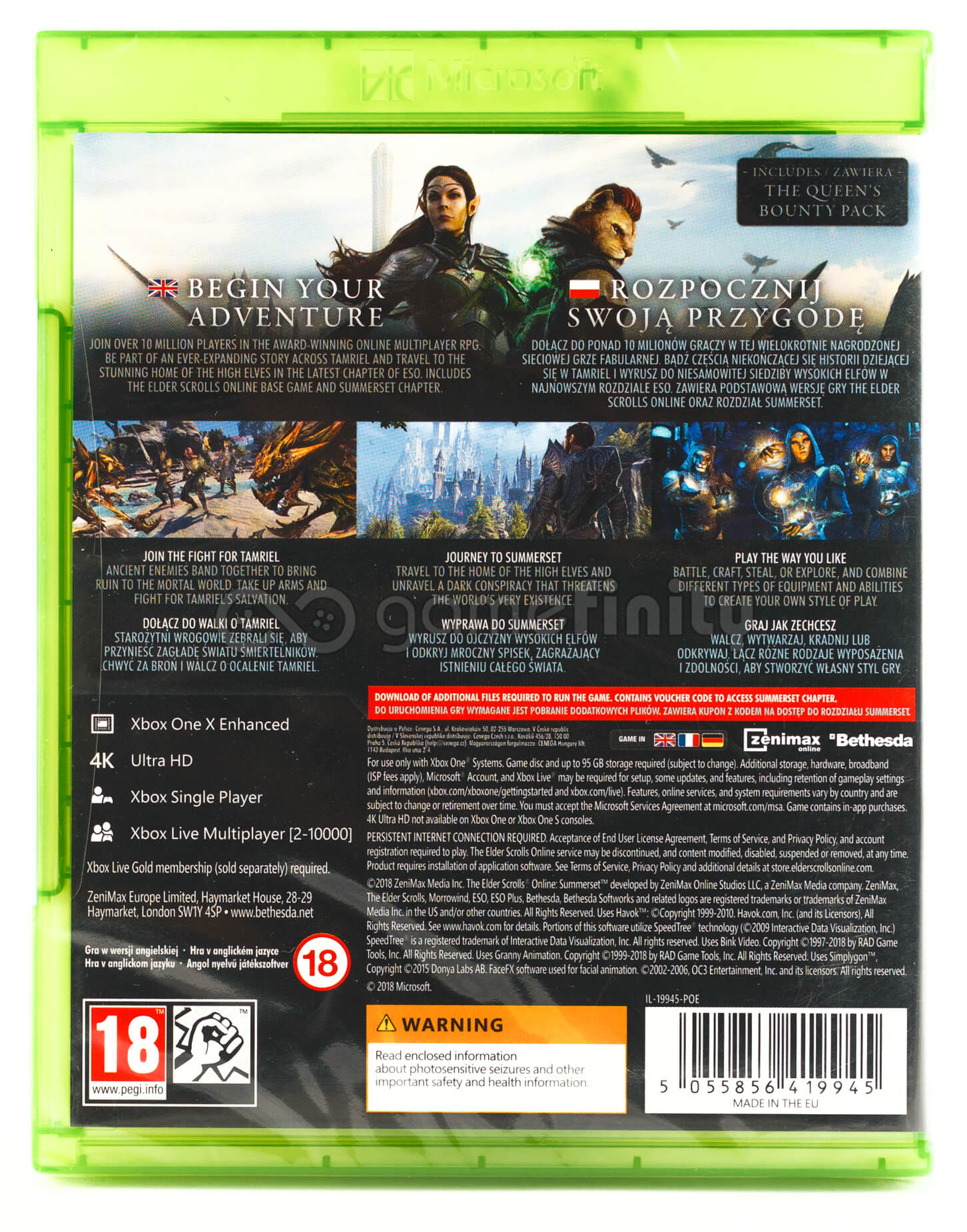 Okładka gry z wojowniczką, tekstem i logo. Tło przedstawia krajobraz fantasy.