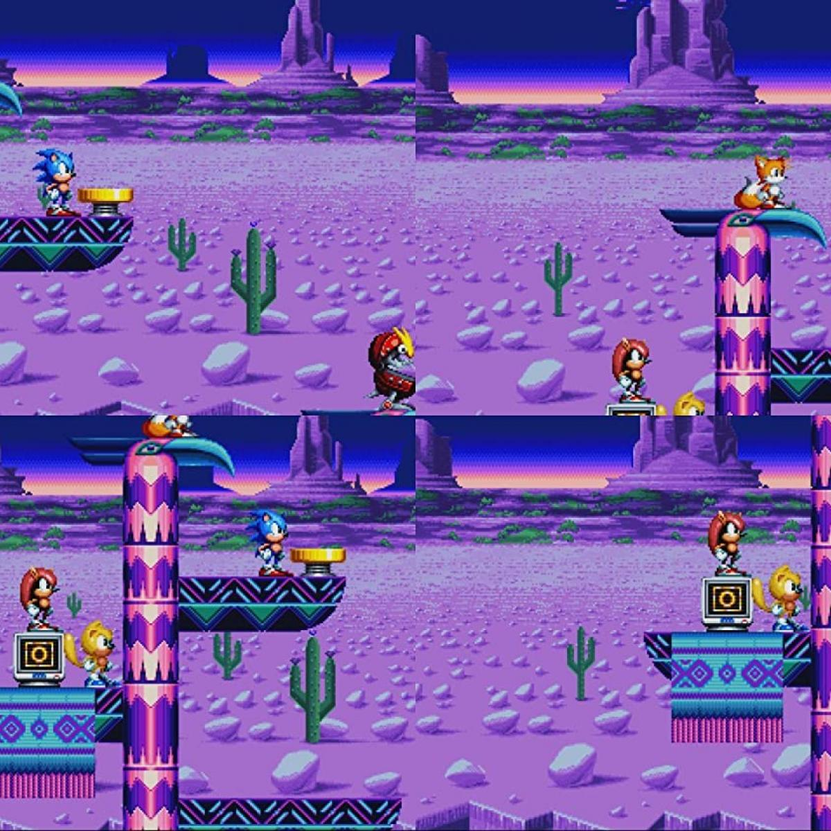 Scena pustynna z gry wideo z postaciami z Sonic. Sonic, Tails i inni są na platformach z kaktusami i formacjami skalnymi.
