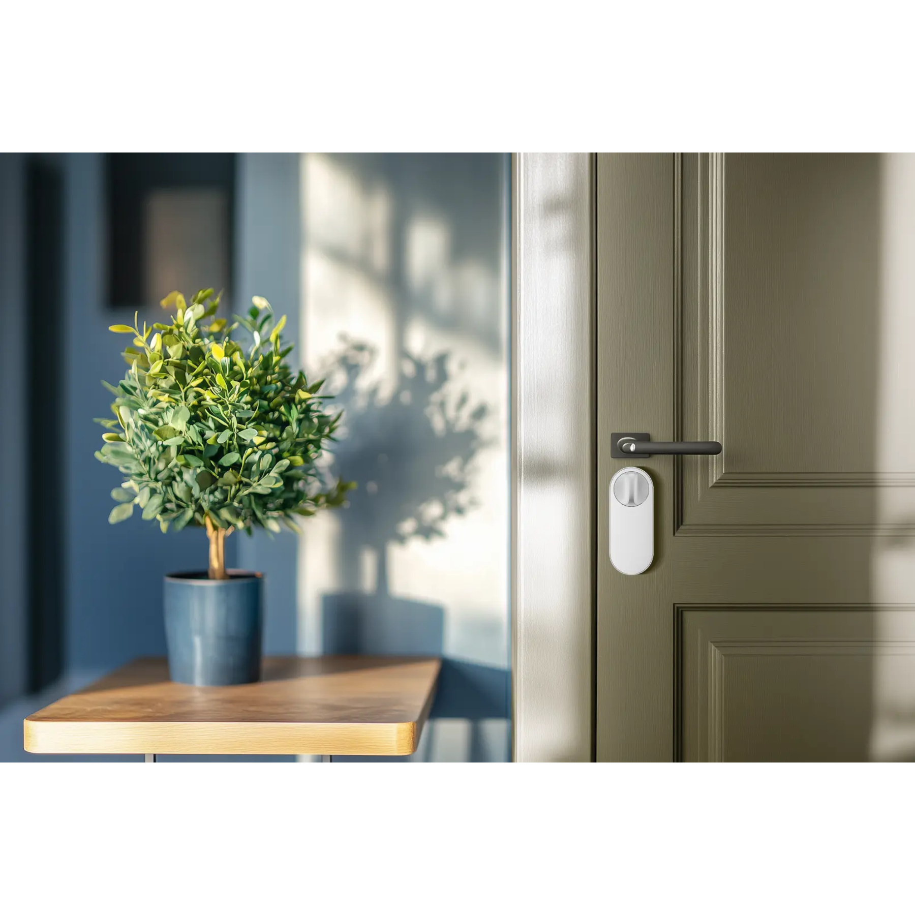 Eine grüne Pflanze in einem blauen Topf steht auf einem Holztisch. Rechts ist eine grüne Tür mit einem weißen Smart Lock.