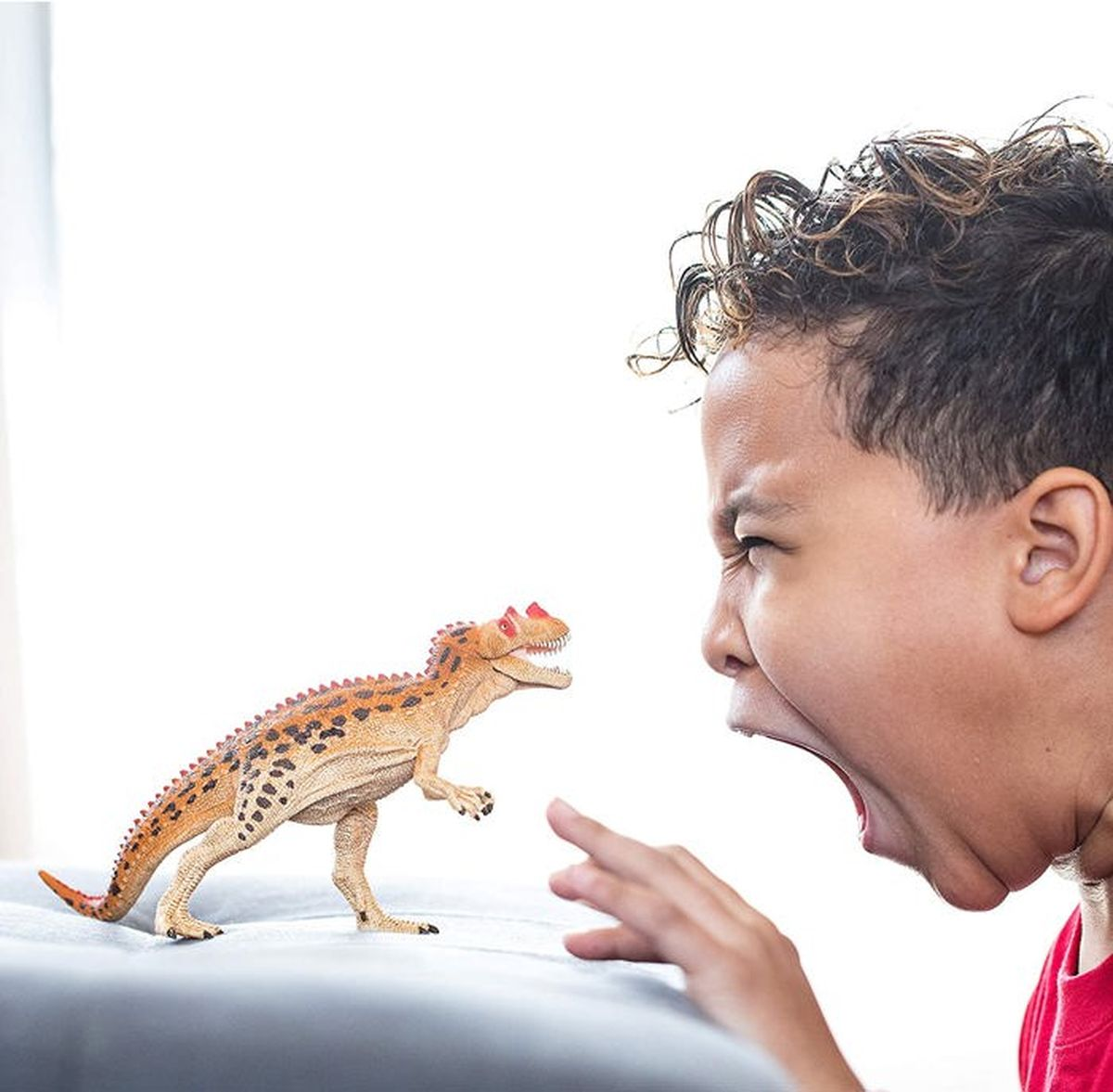 Chłopiec naprzeciwko zabawkowego dinozaura. Chłopiec krzyczy, dinozaur jest pomarańczowy i brązowy. Są na białej powierzchni.