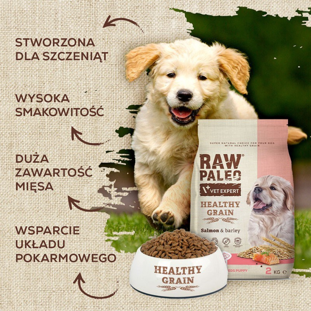 Szczeniak golden retrievera uśmiecha się w pobliżu worka z karmą dla psów i miski z suchą karmą. Tekst reklamuje karmę jako zdrową i dla szczeniąt.