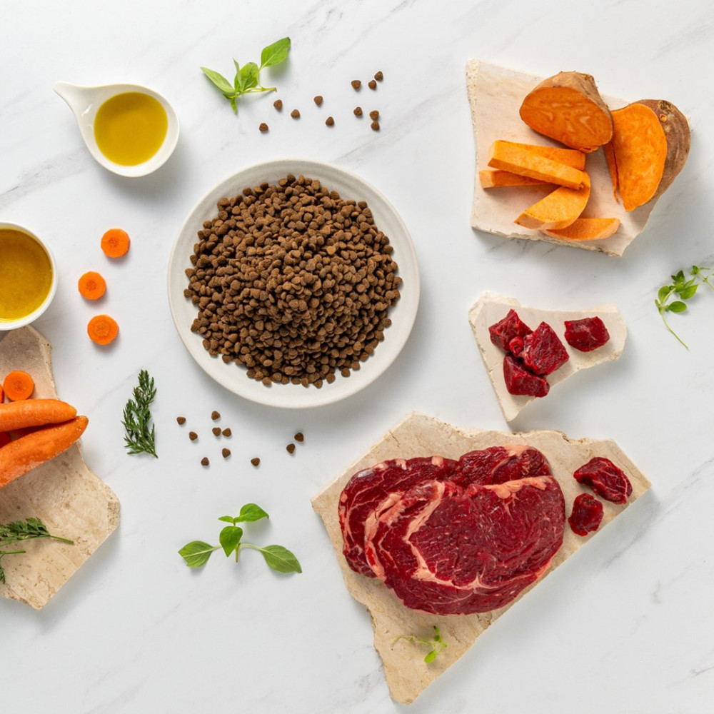 Widok z góry na składniki karmy dla psów: krokiety, bataty, surowe mięso, marchew, zioła i olej, ułożone na białej powierzchni.