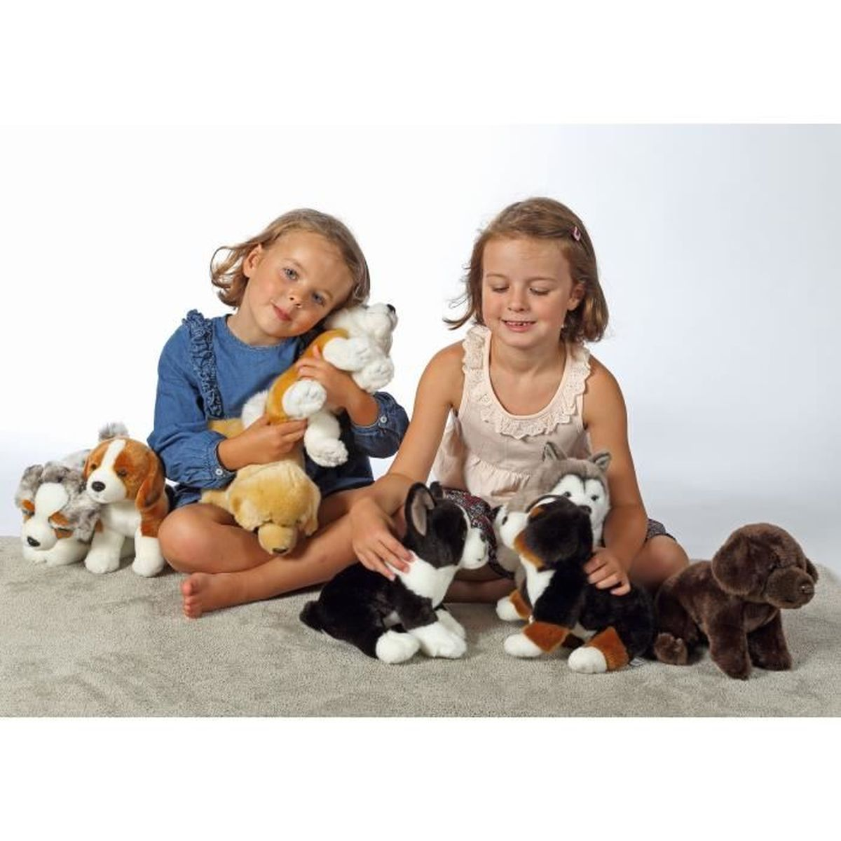 Dos niñas sentadas con juguetes de peluche de perros sobre una alfombra. Los perros son de varios colores y tamaños. El fondo es blanco.
