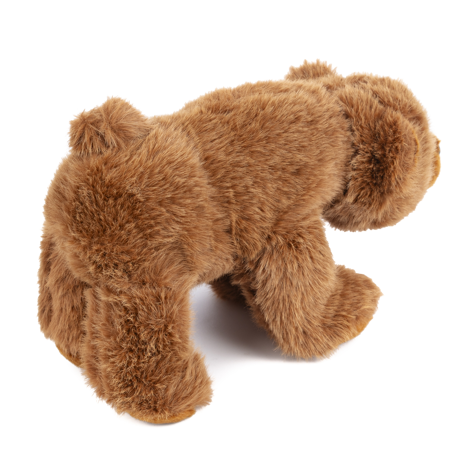 Un orsacchiotto marrone è mostrato di lato. È su una superficie bianca. L'orso ha una pelliccia soffice.