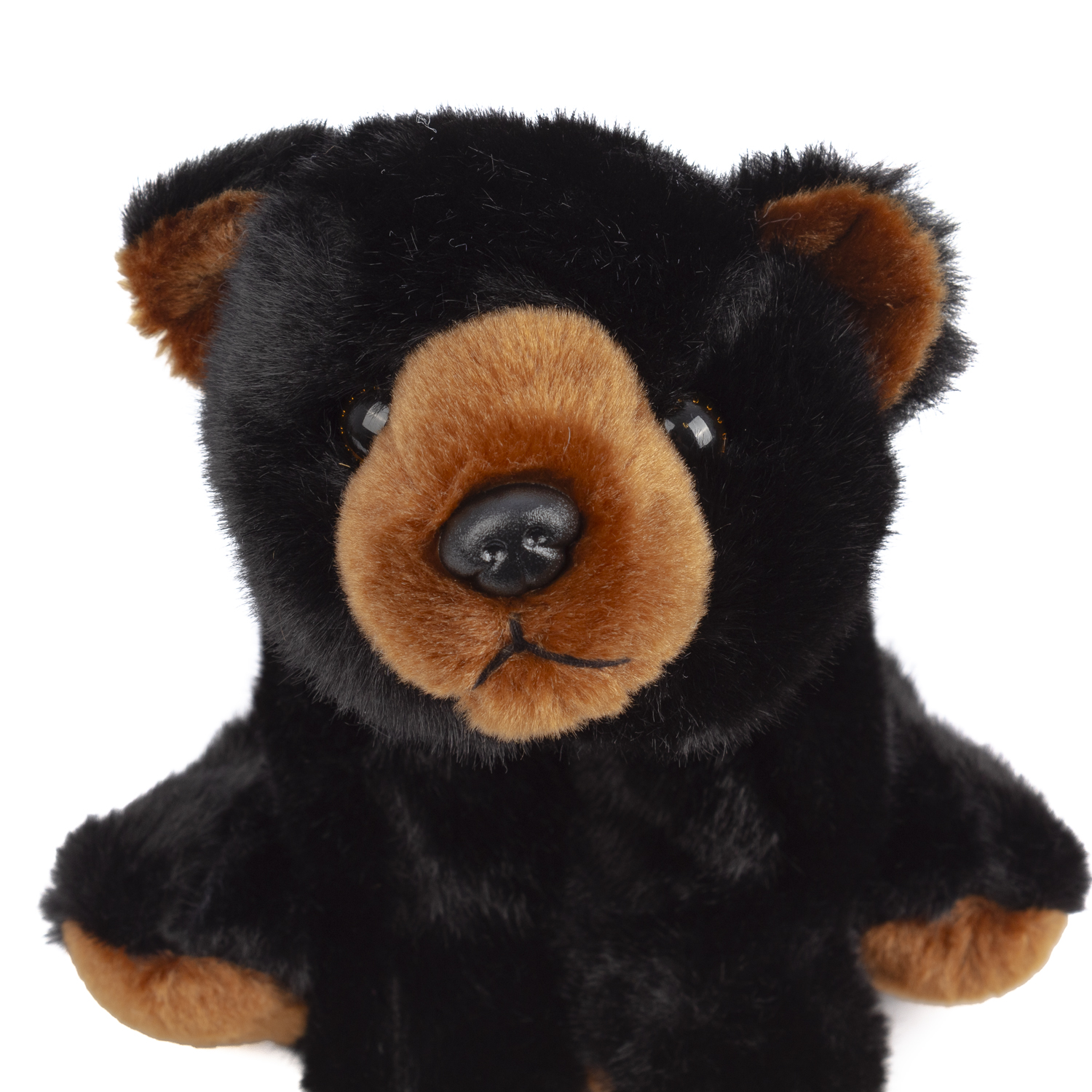 Un oso de peluche negro con hocico y orejas marrones. El oso tiene nariz negra y está sobre un fondo blanco.