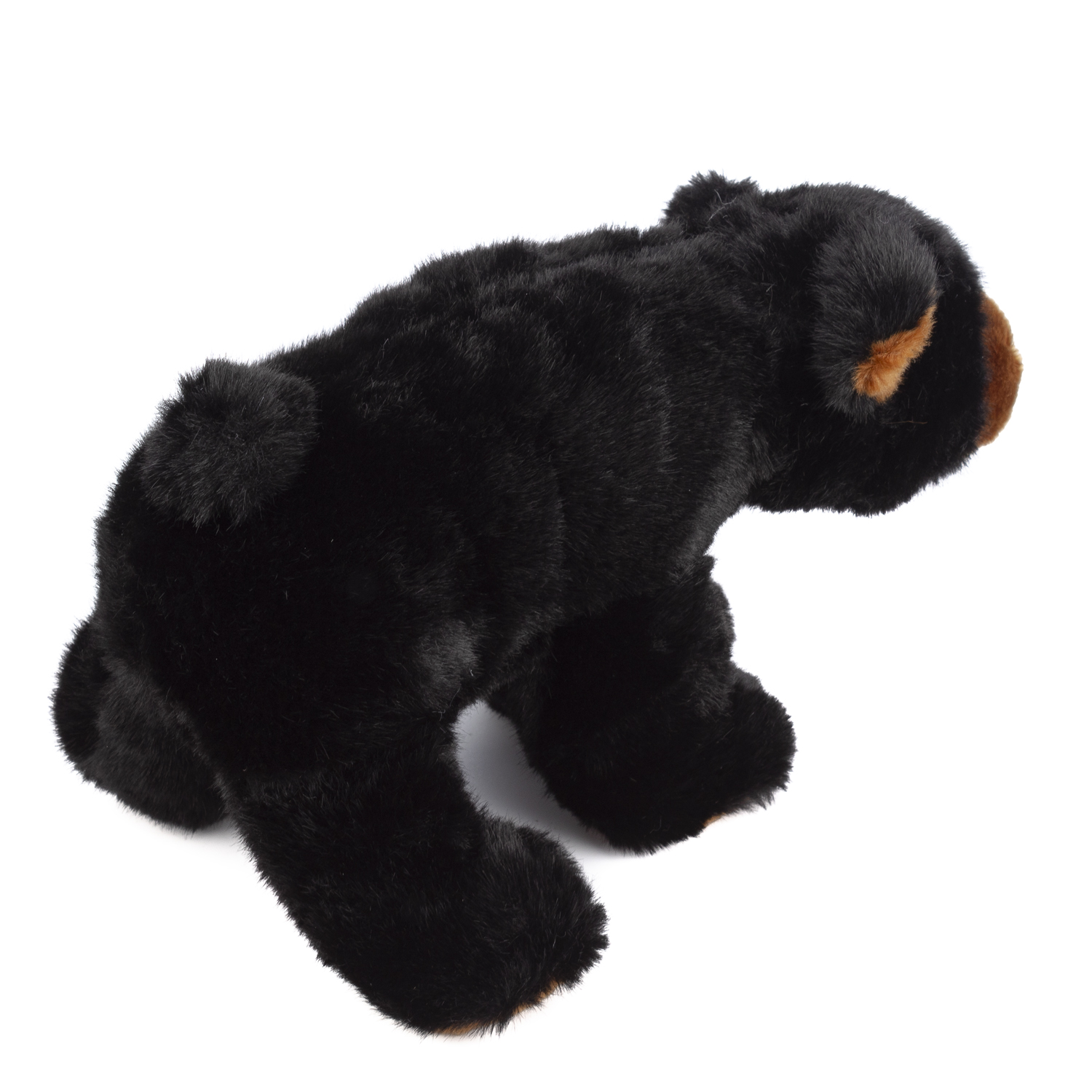 Un oso de peluche negro sobre un fondo blanco. El oso tiene orejas marrones y está en posición de caminar.