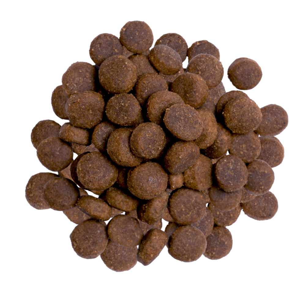 Stos brązowych, okrągłych krokietów dla psów na białym tle. Każdy kawałek jest teksturowany i ma nieregularny kształt.