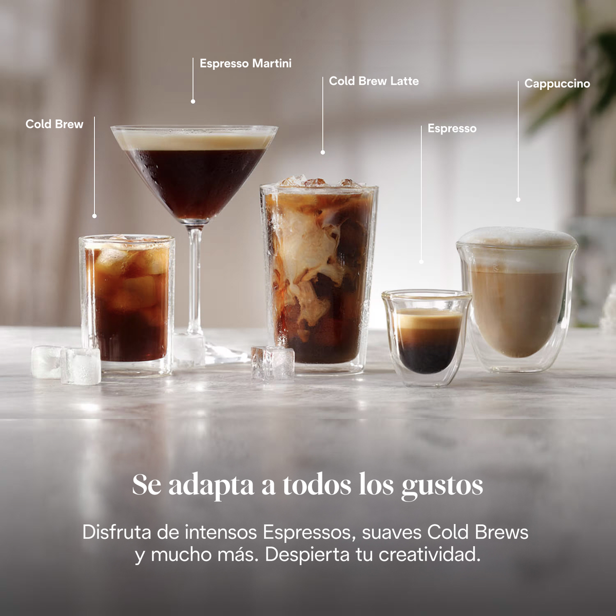 Das Bild zeigt fünf Kaffeegetränke: Cold Brew, Espresso Martini, Cold Brew Latte, Espresso und Cappuccino. Es gibt kalte Getränke.