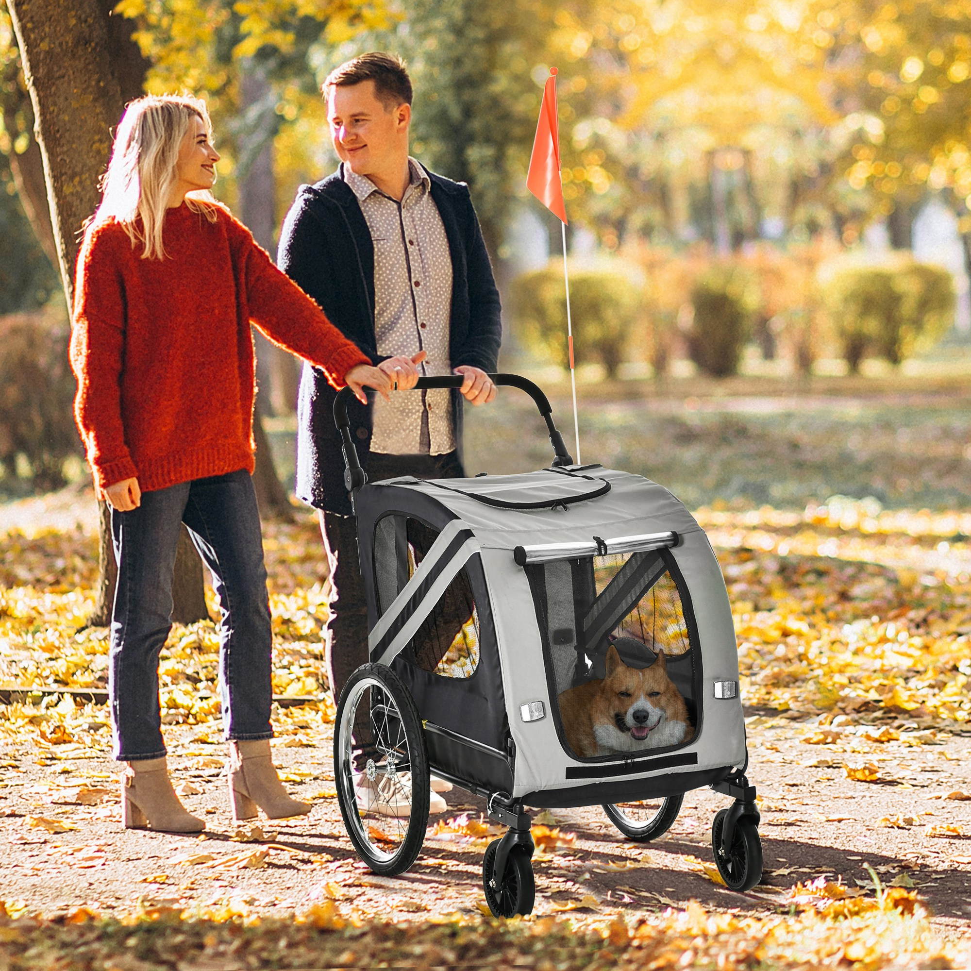 Una coppia cammina con un cane in un passeggino attraverso un parco. Il cane è visibile. Ci sono foglie d'autunno a terra.