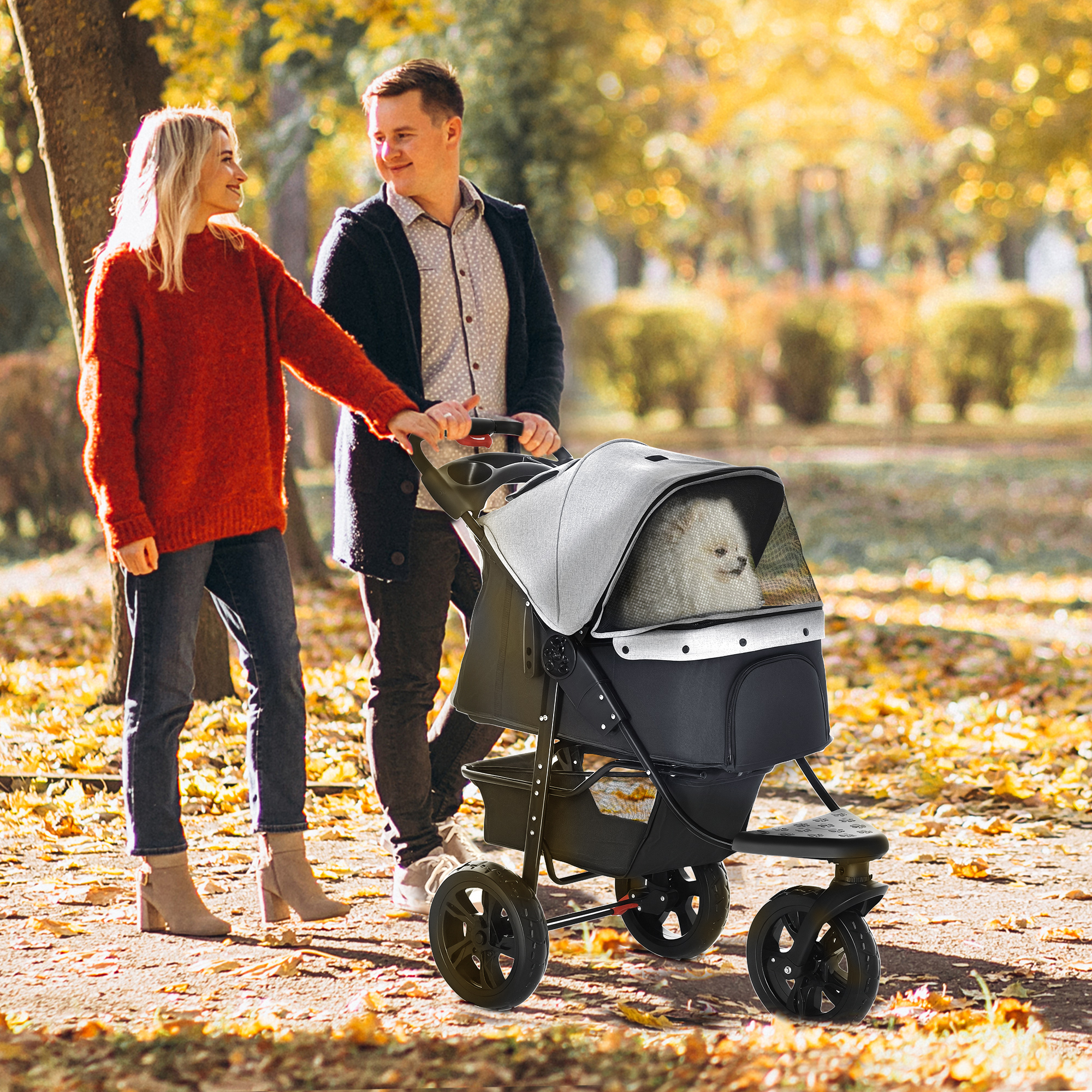 Una coppia cammina in un parco, spingendo un cane in un passeggino. Ci sono foglie d'autunno per terra. Il cane guarda fuori.