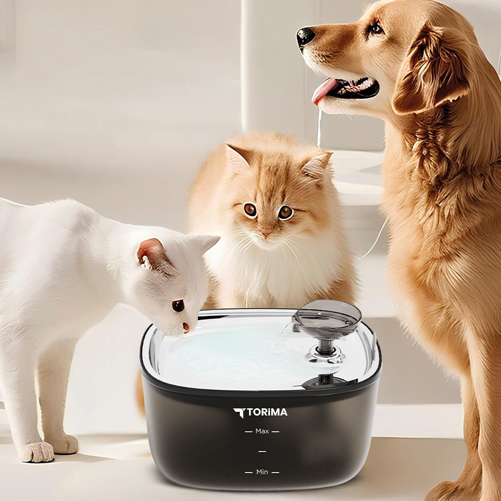 Bir golden retriever, iki kedi ve bir su çeşmesi. Köpek su içiyor. Kediler çeşmeye bakıyor. Çeşme siyah.