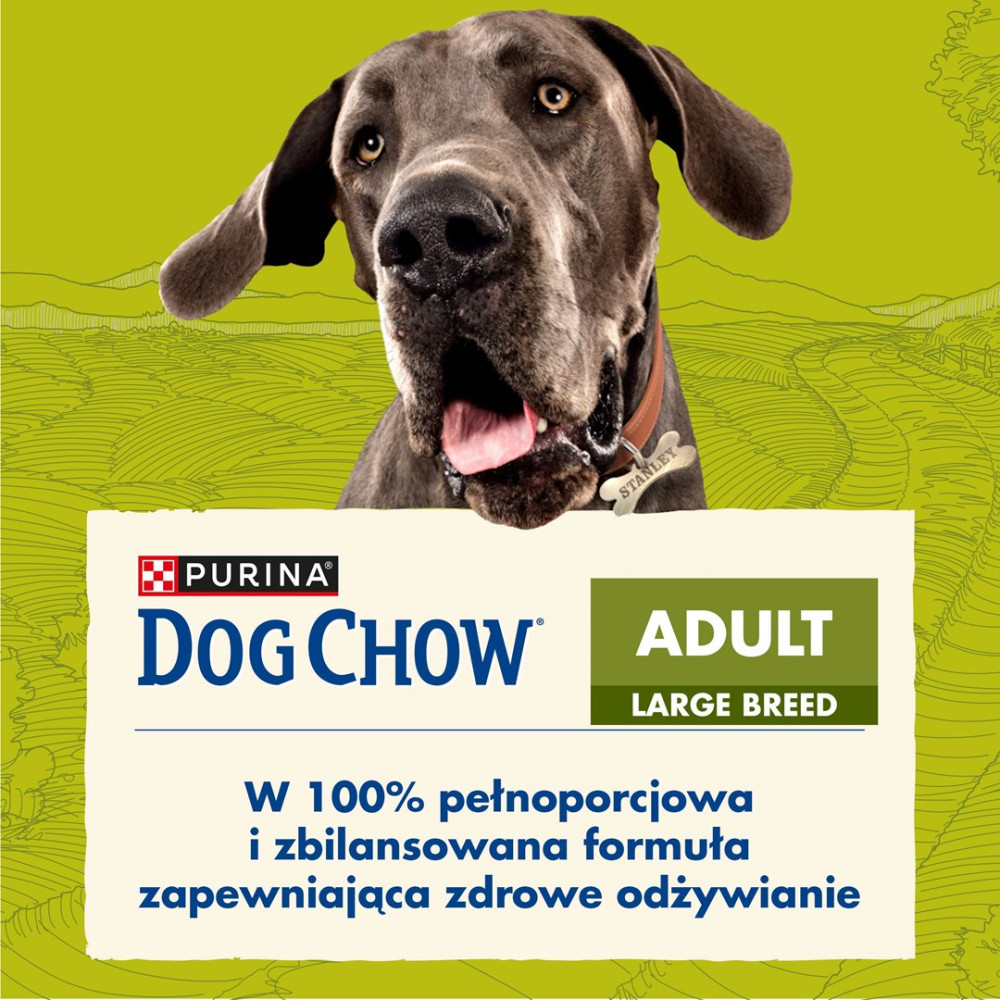 Szary dog niemiecki z wystawionym językiem. Poniżej reklama Purina Dog Chow. Tło jest jasnozielone z polem.