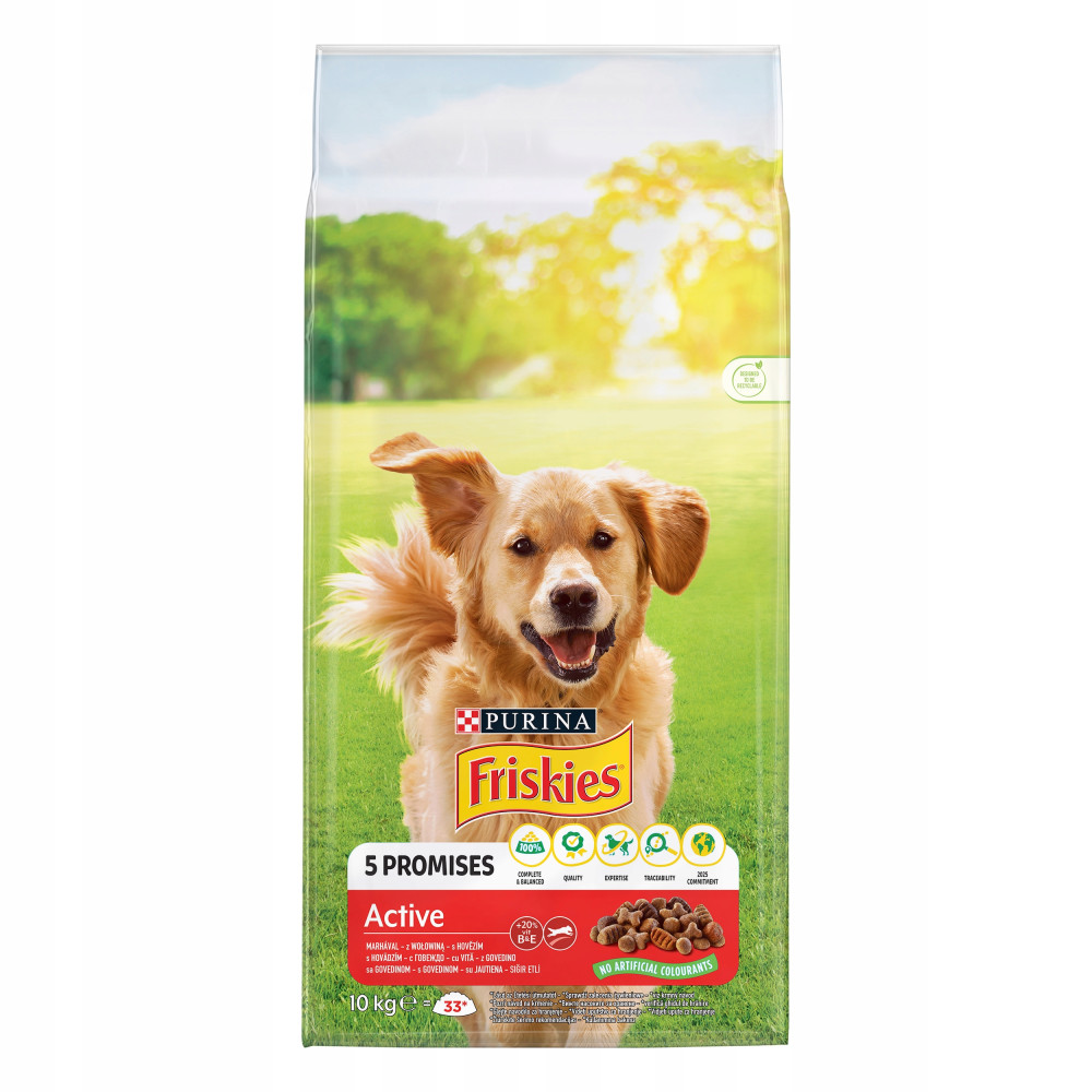 Torba z karmą dla psów z golden retrieverem. Marka to Purina Friskies. Zielone tło z tekstem '5 obietnic' i 'Active'.