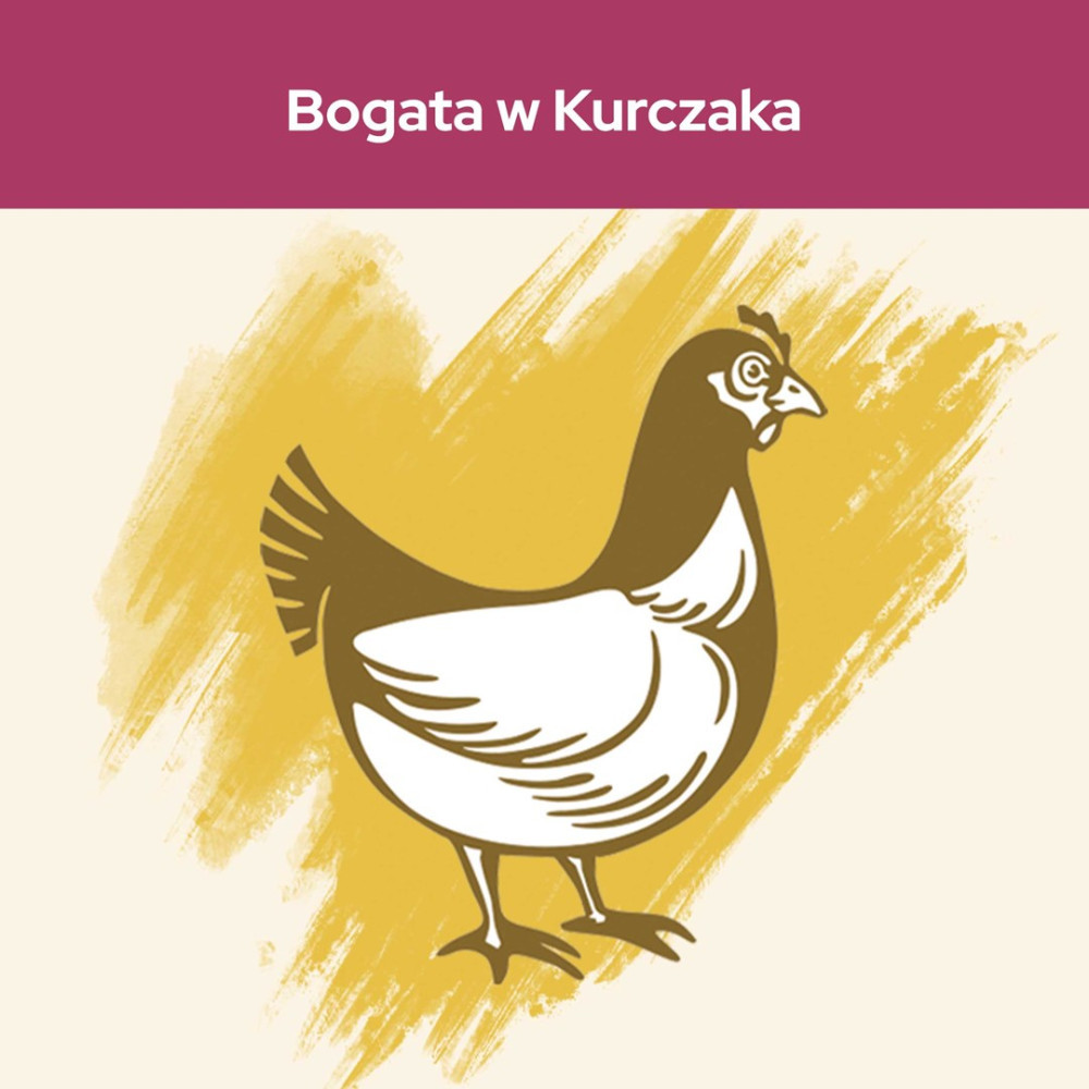 Ilustracja kurczaka. Brązowy kontur z białym ciałem, na żółtym tle z pociągnięciami pędzla. Tekst 'Bogata w Kurczaka'.