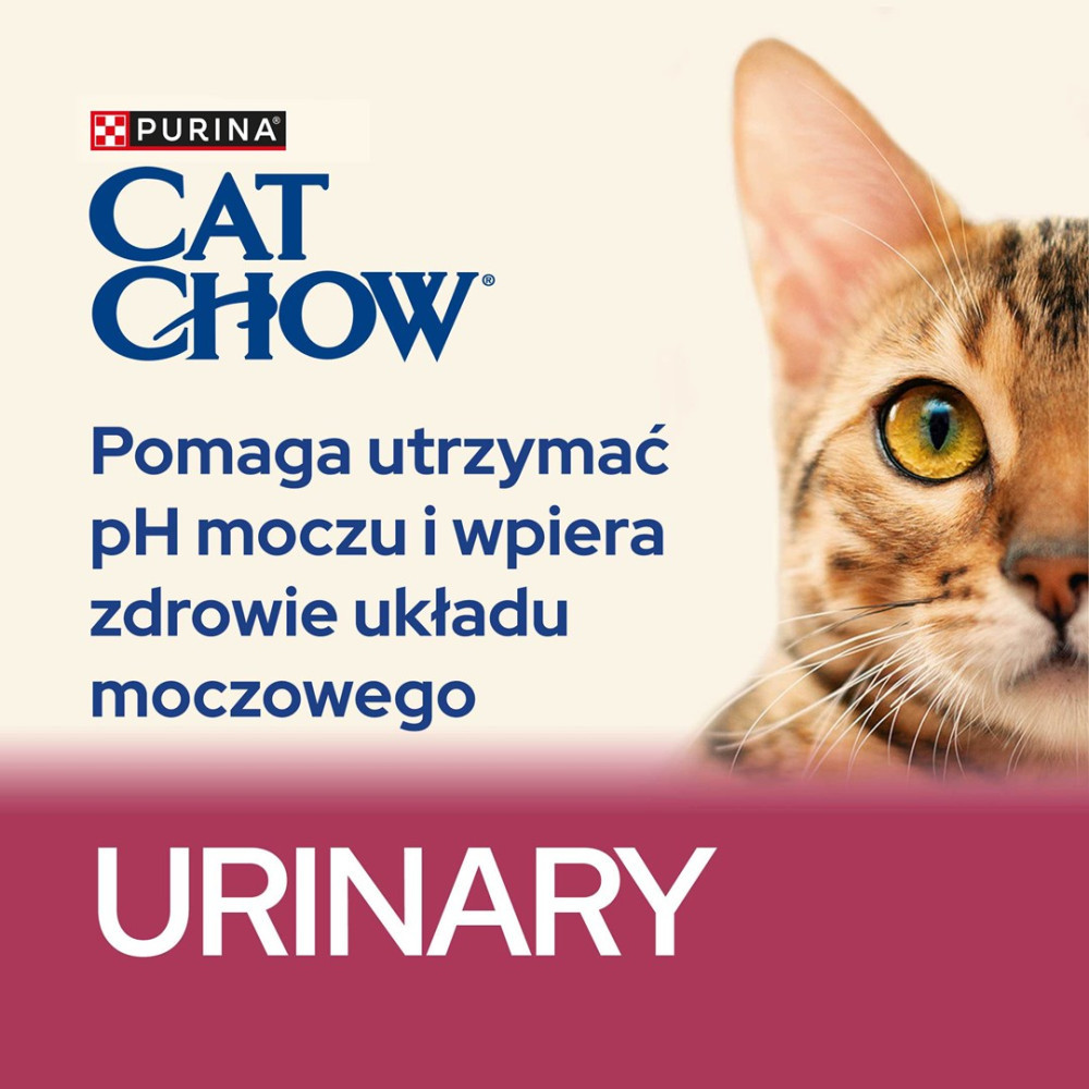 Obraz przedstawia twarz kota, logo Cat Chow i tekst promujący zdrowie układu moczowego. Tło jest białe i bordowe.