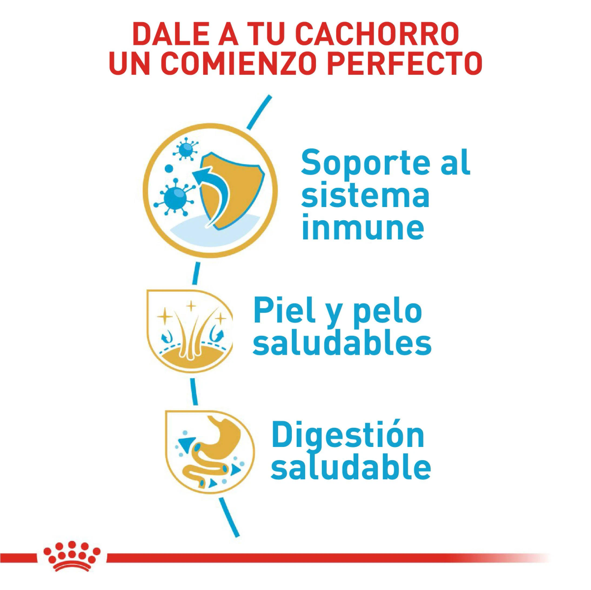 Obraz z hiszpańskim tekstem promującym zdrowie szczeniąt: wsparcie odporności, zdrowa skóra/włosy i zdrowe trawienie. Zawiera logo i czerwoną linię.