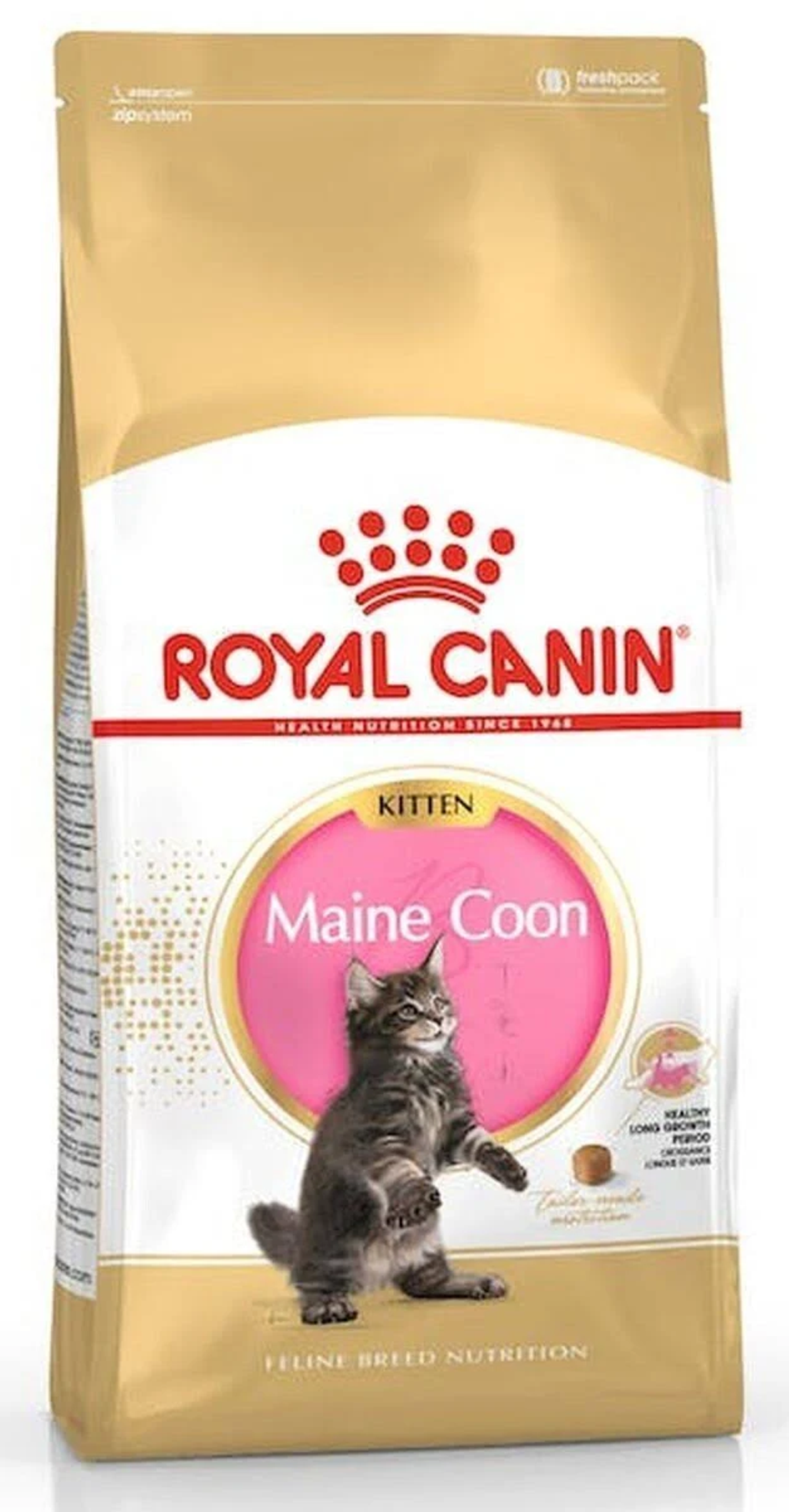 Torba z karmą dla kotów ze zdjęciem kociaka. Marka to Royal Canin Maine Coon, ze złotym i białym schematem kolorów.