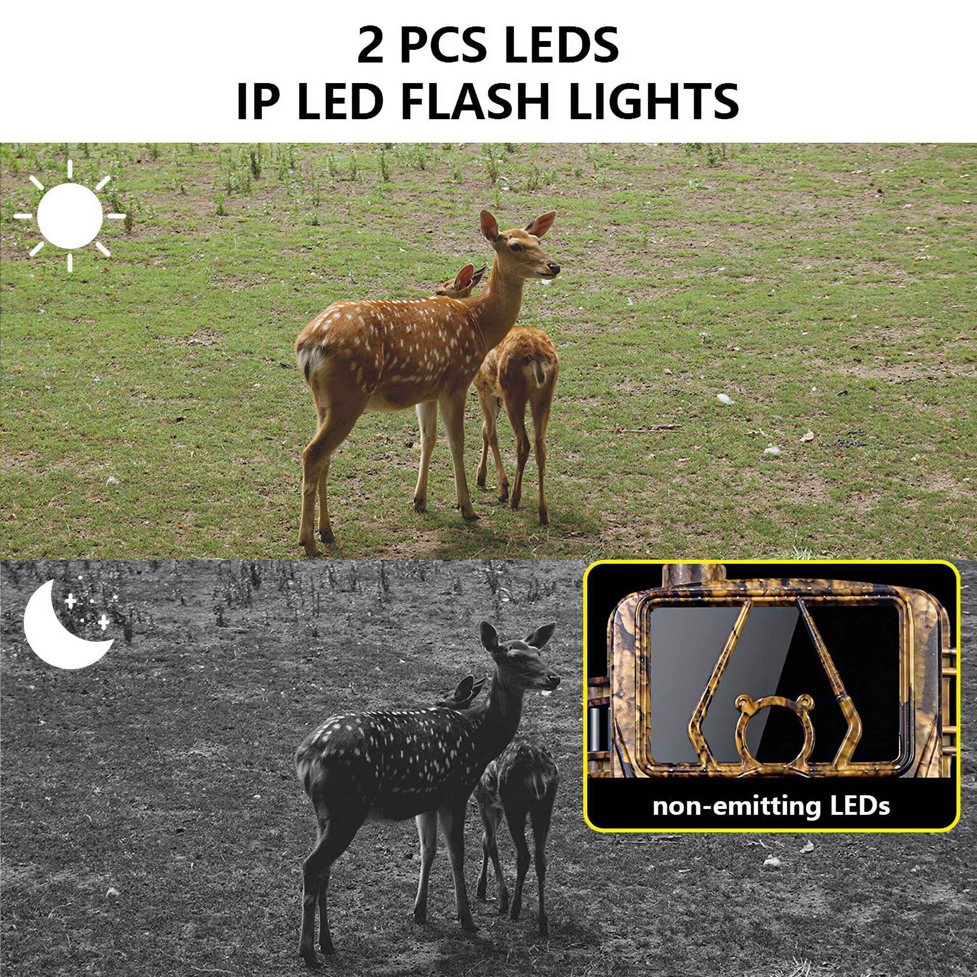 Zwei gefleckte Hirsche stehen auf Gras. Es gibt ein gelb gerahmtes Gerät und den Text 'non-emitting LEDs'.