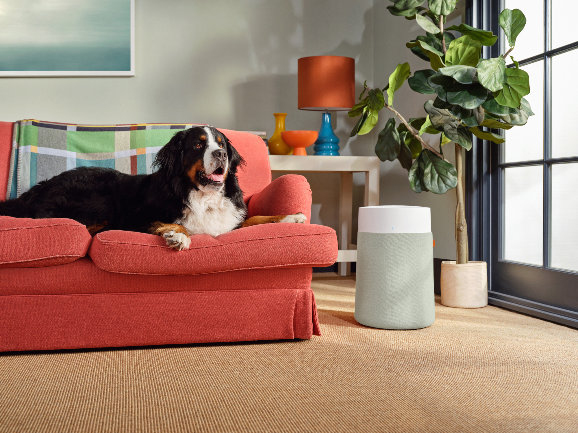 Un cane giace su un divano rosso. Una lampada, una pianta e un purificatore d'aria sono nelle vicinanze. Sullo sfondo una finestra e arte.