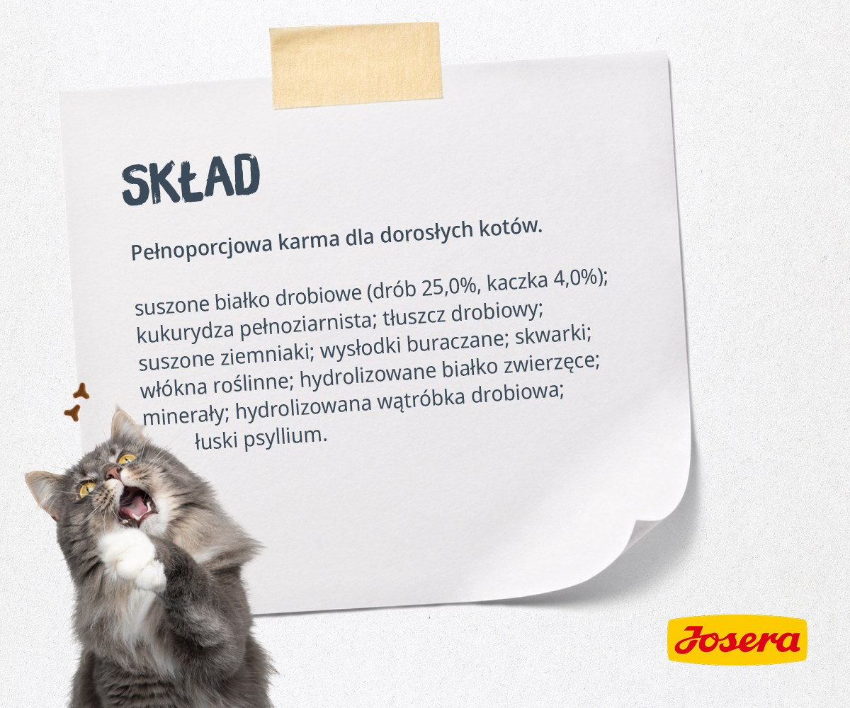 Kot z otwartą paszczą przed kartką z napisem 'SKŁAD' i składnikami karmy dla kotów.