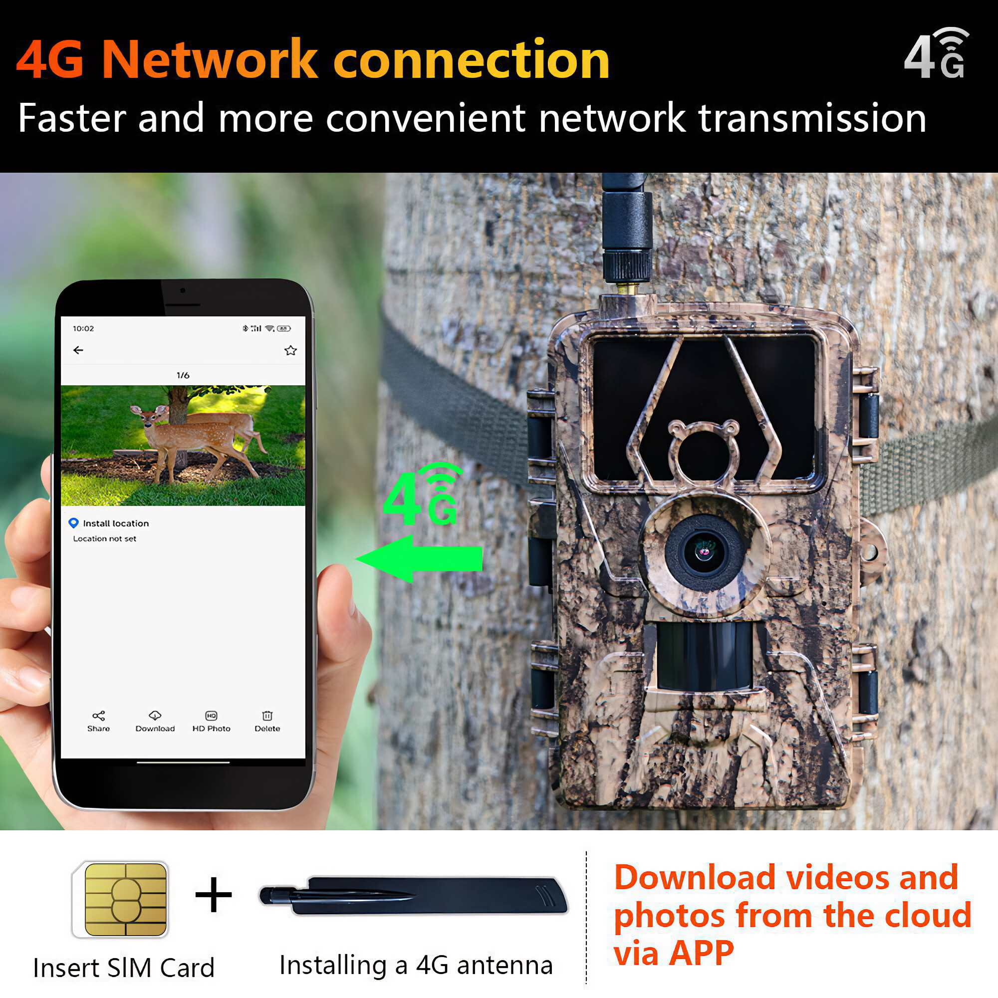 Eine Wildkamera ist an einem Baum befestigt. Ein Telefon zeigt ein Bild von Hirschen. Textdetails 4G-Netzwerkverbindung.