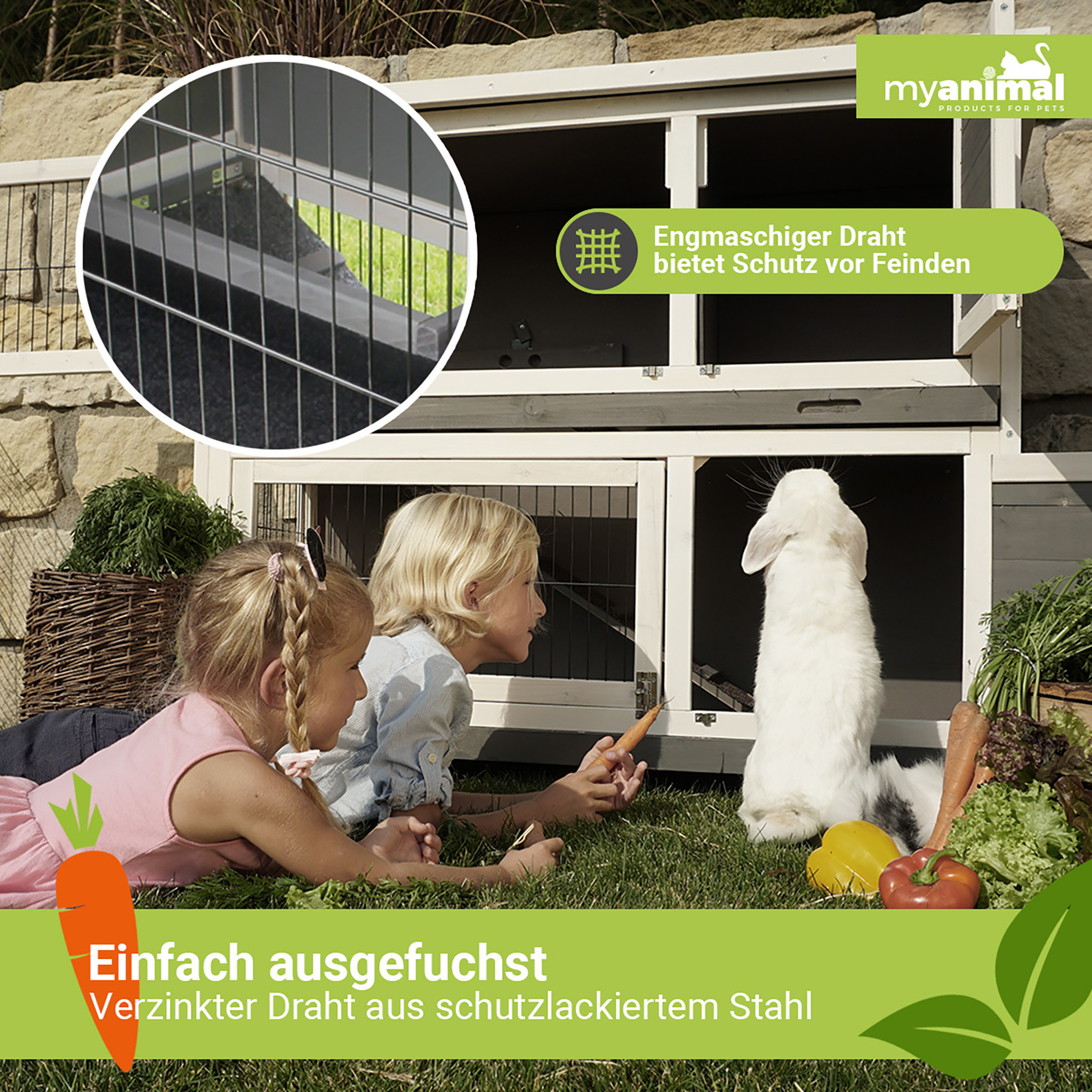 Zwei Mädchen mit Karotten schauen einen weißen Hasen in einem Stall an. Gemüse und ein Korb liegen im Gras.