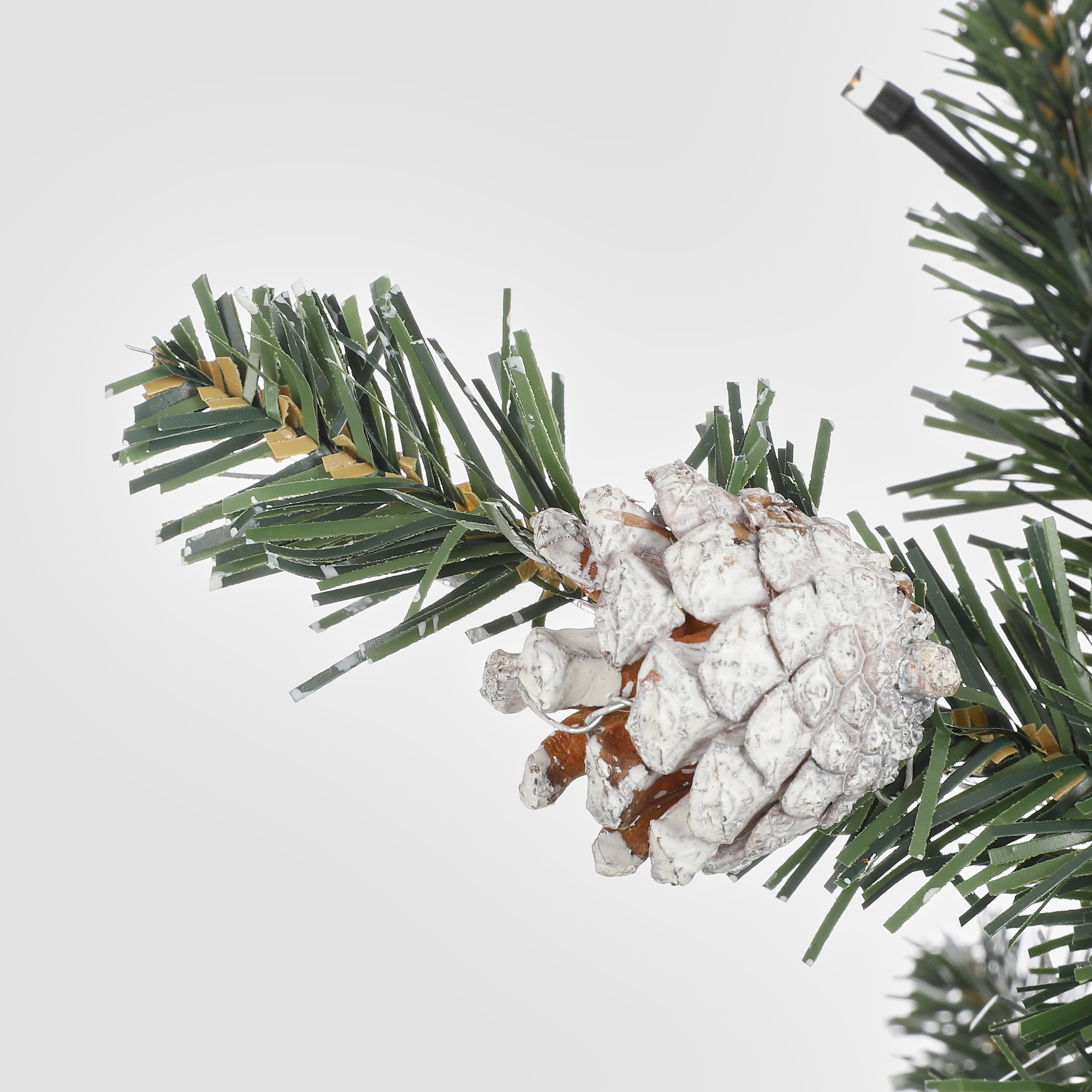 Gros plan d'une branche de pin avec une pomme de pin givrée. Le fond est blanc uni.