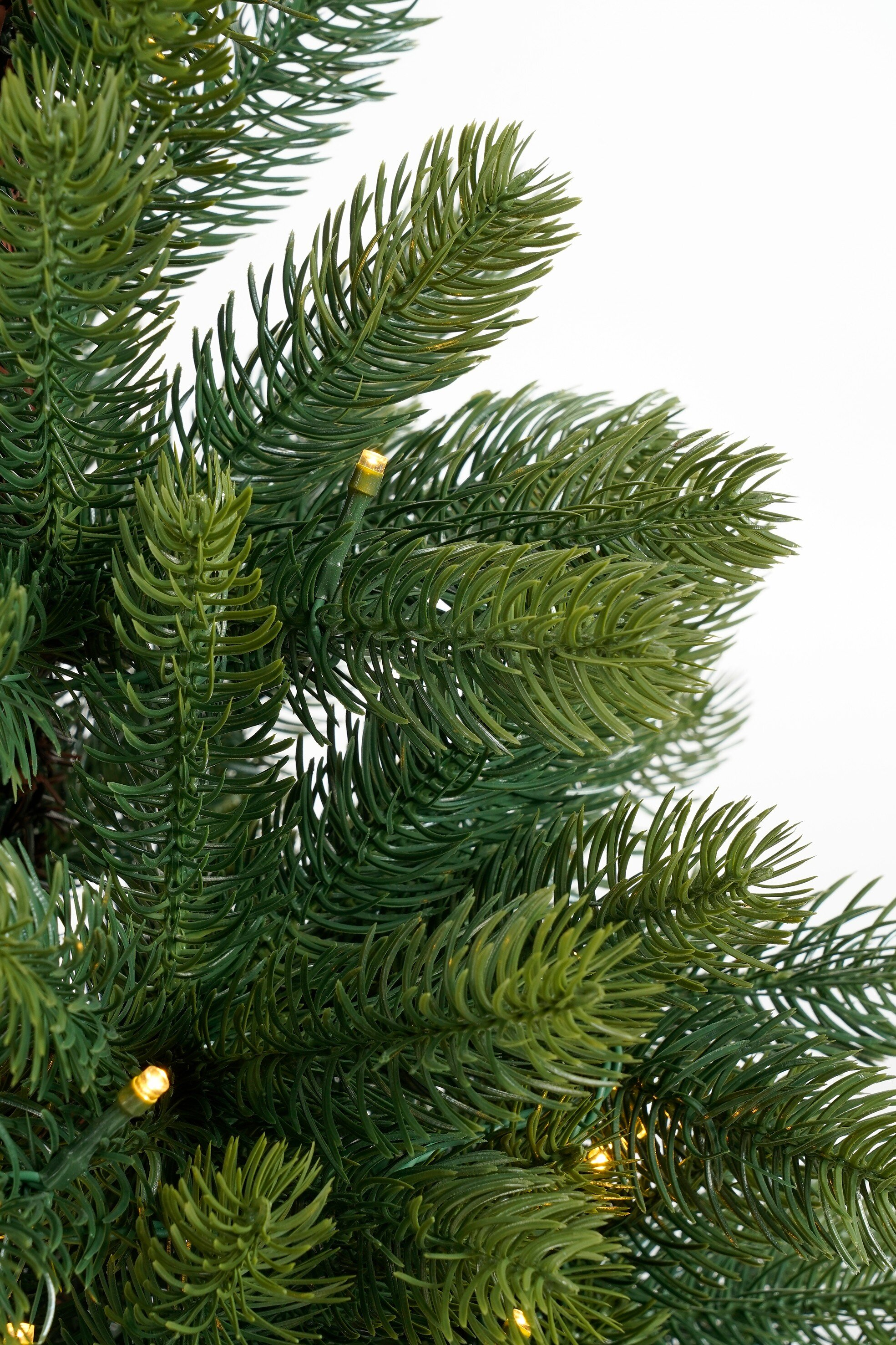 Close-up van een groene kerstboomtak met kleine gele lampjes tegen een witte achtergrond.
