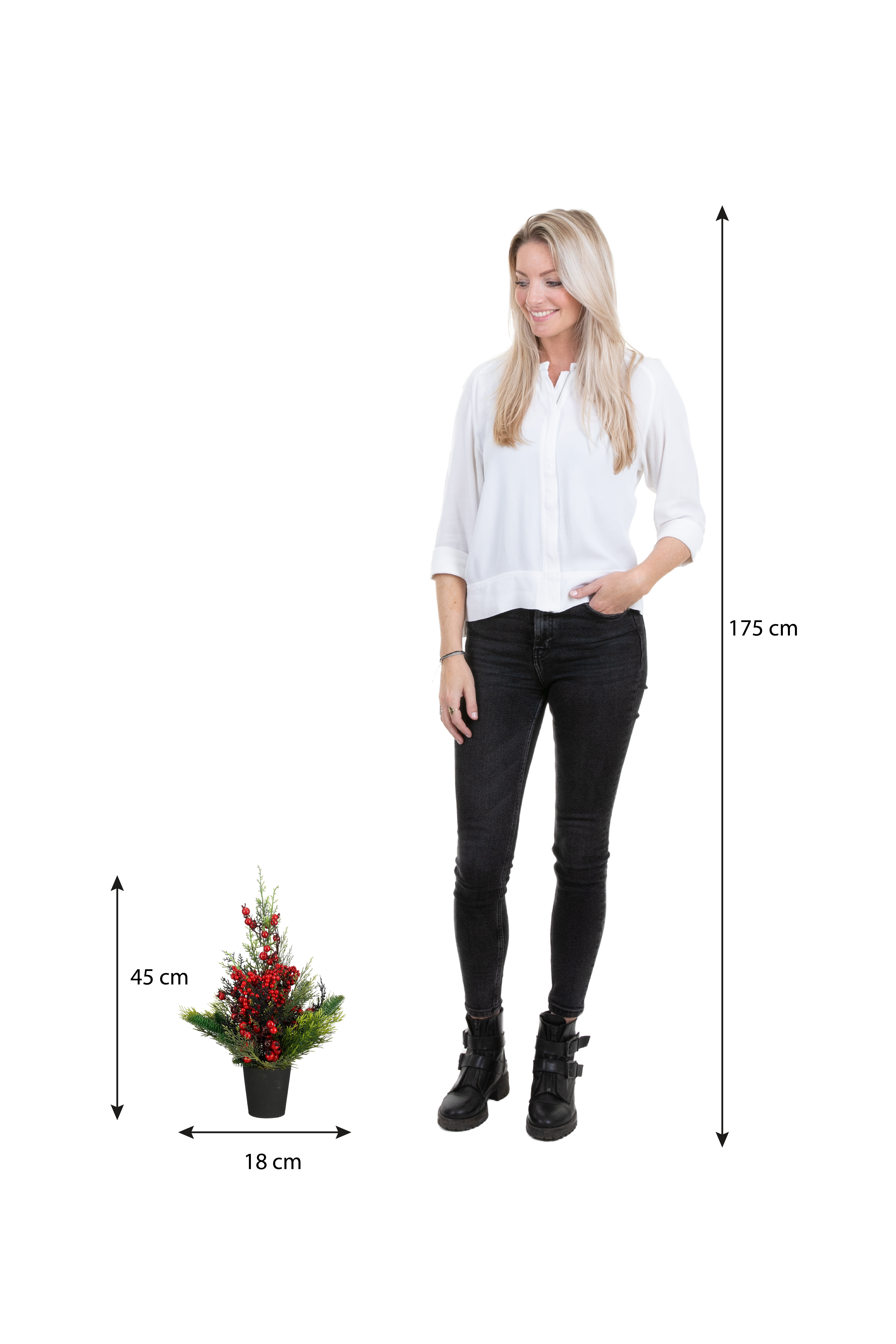 Vrouw in wit overhemd en zwarte jeans staat bij een plant. Afmetingen van de plant en de lengte van de vrouw zijn aangegeven.