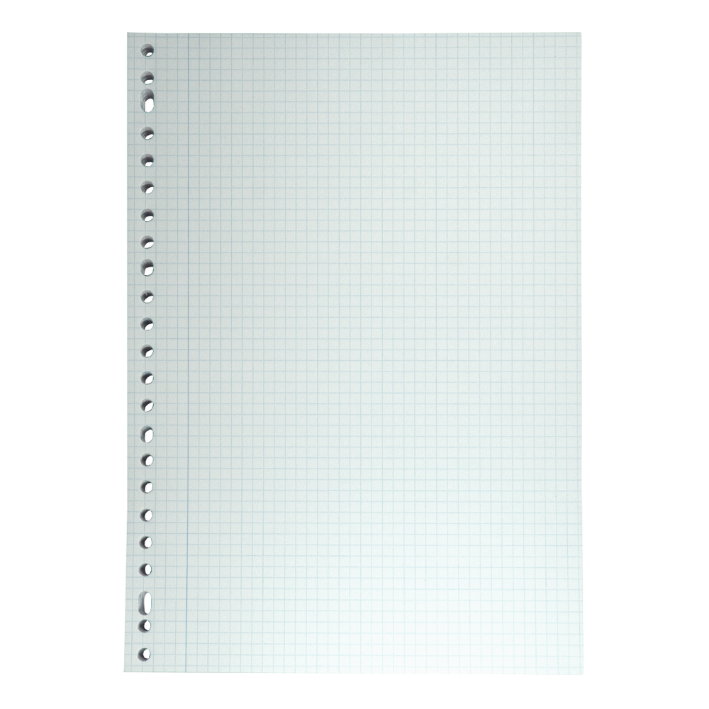 A white, grid-lined sheet of paper with holes on the left side, isolated on a white background.