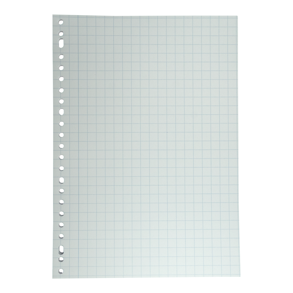 A sheet of white graph paper with blue grid lines. It has holes on the left side for binding. Isolated on a white background.