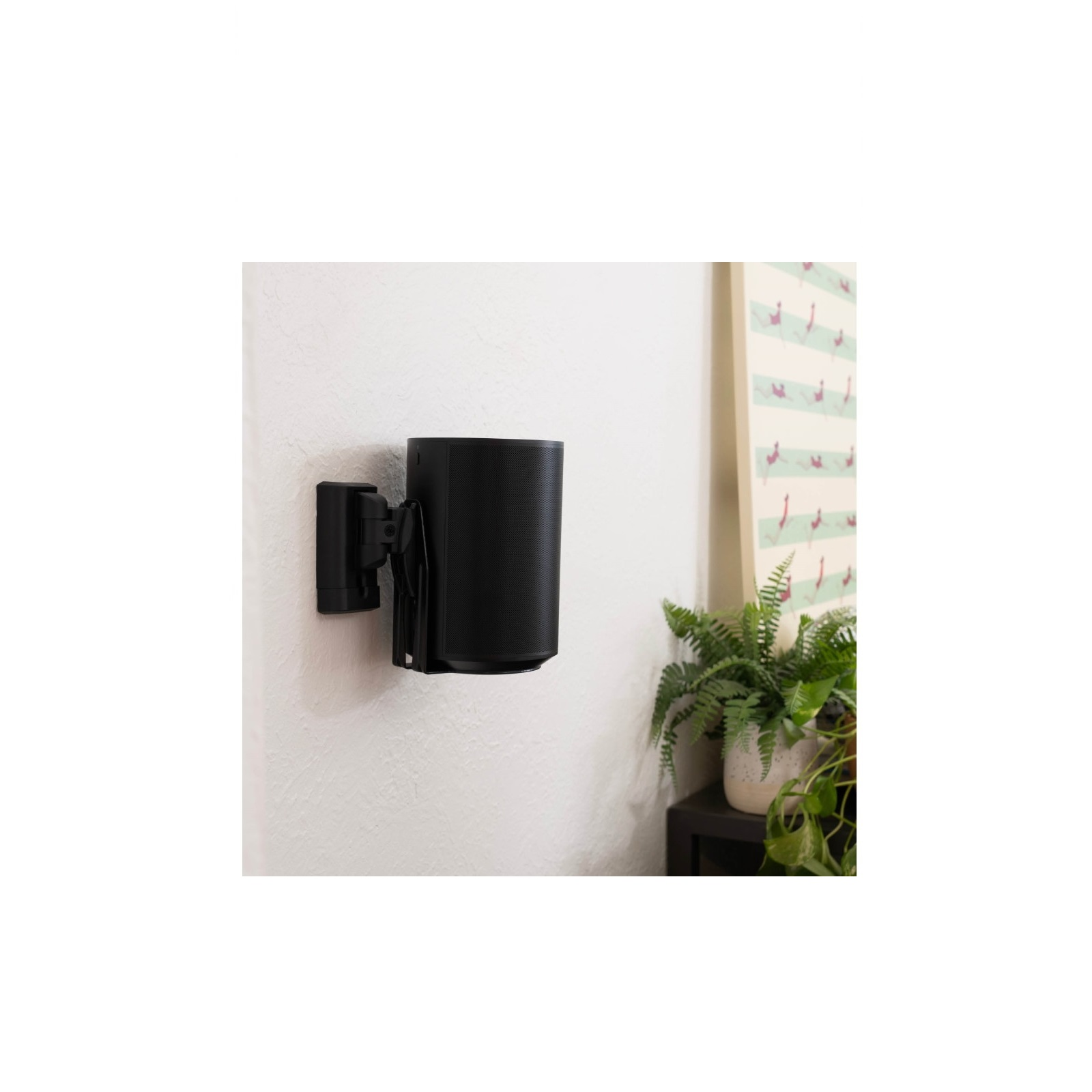 A black speaker mounted on a white wall. Ferns and a picture frame are visible in the background.